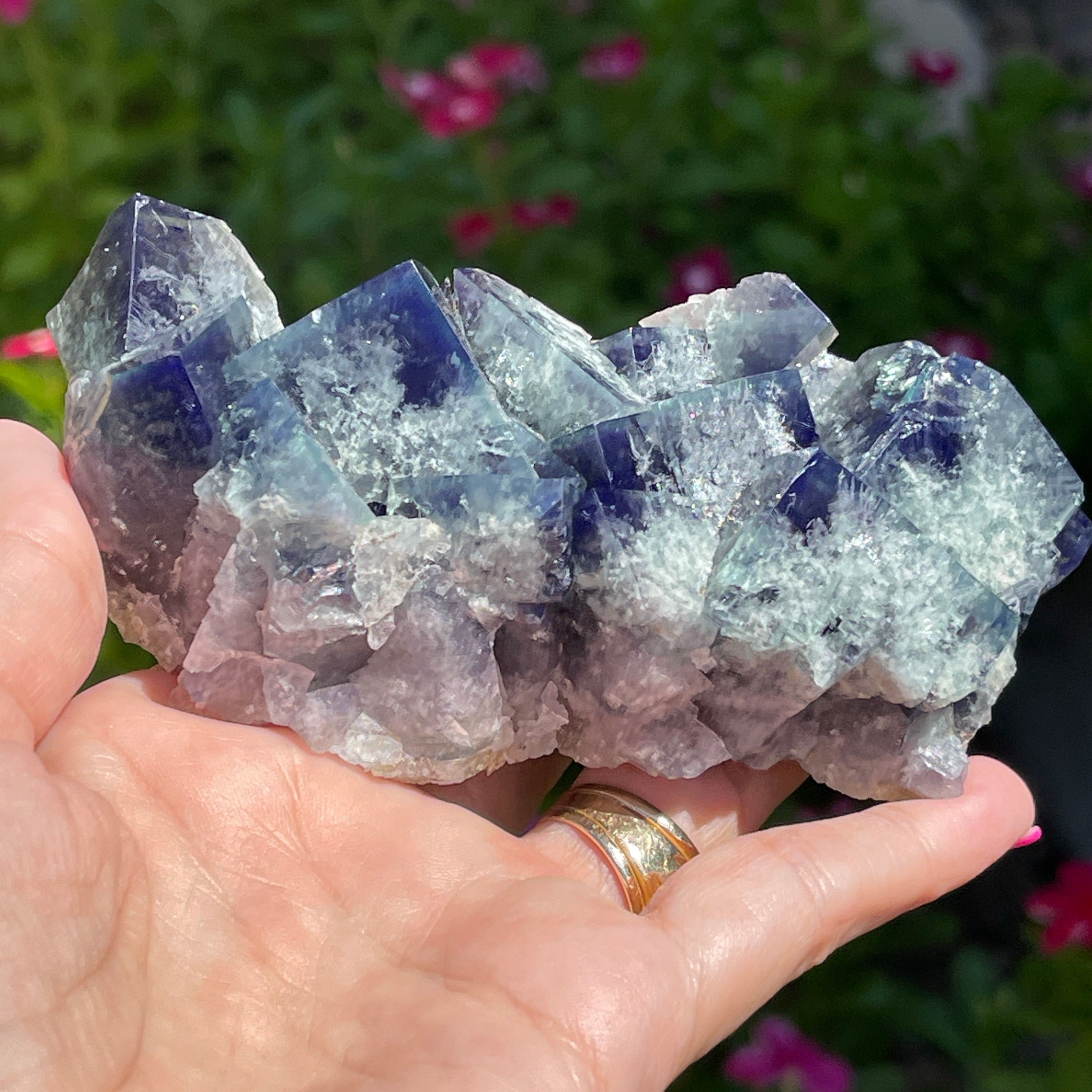 SuperNova Fluorite England, UV, Daylight reactive