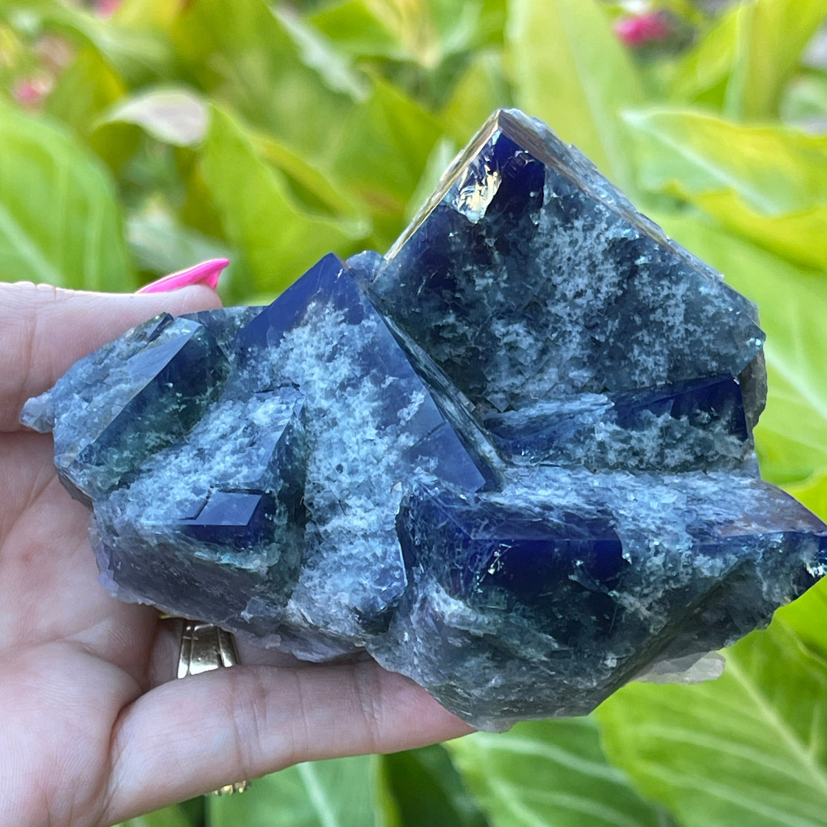 Fluorite New Find! SuperNova Pocket 438grams | CrystalRockology