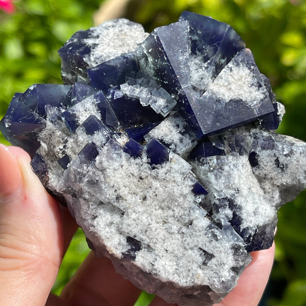 Fluorite Crystal Cluster from Milky Way Pocket