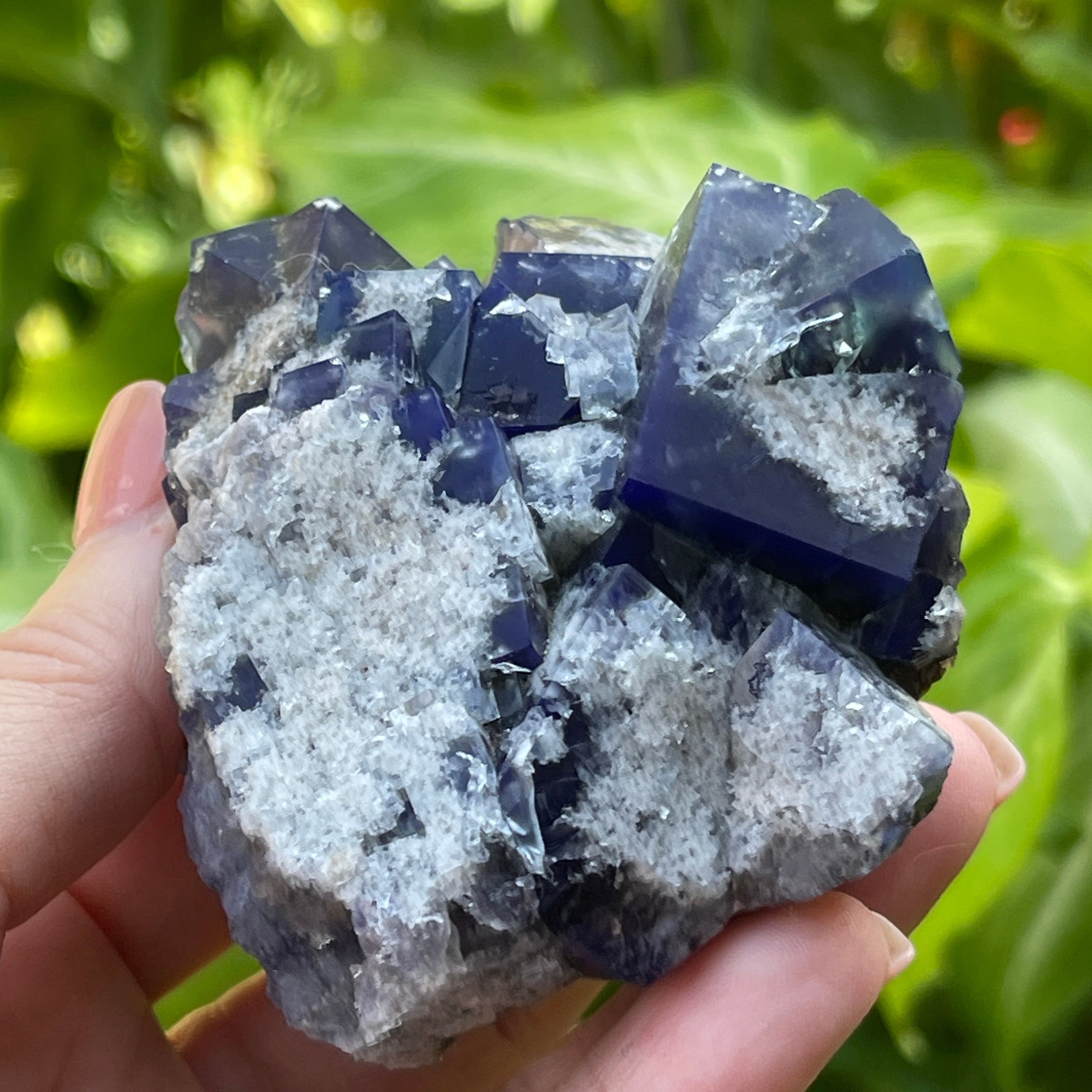 Fluorite Diana Maria Mine