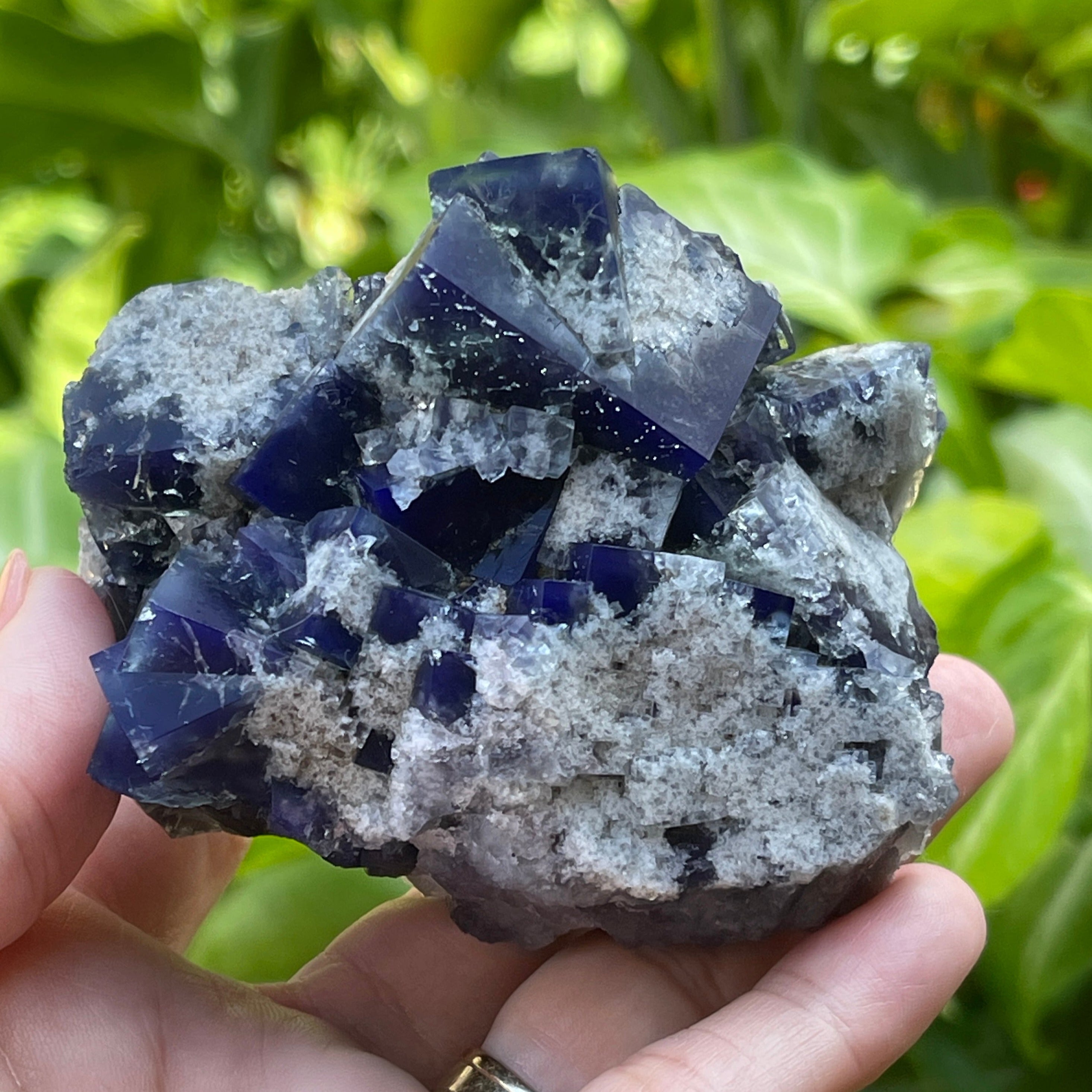 Diana Maria Mine Milky Way Fluorite mineral