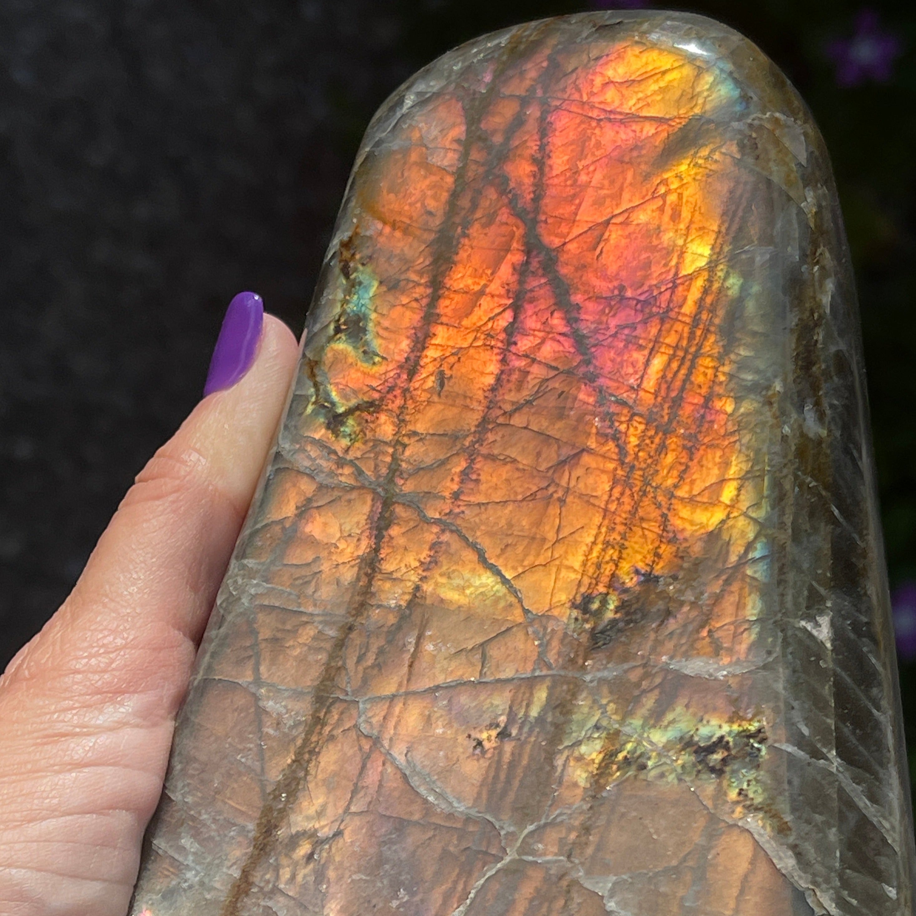 Labradorite Orange Sunset Gorgeous Flash | 2.2Lbs! Crystal Decor'