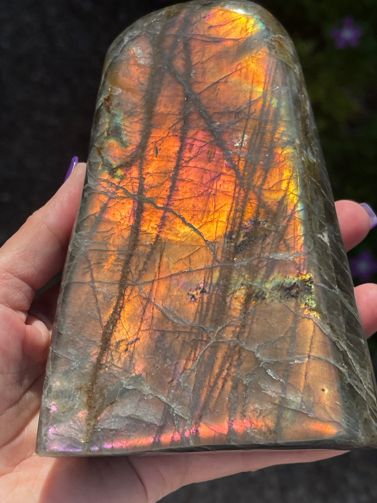 Labradorite Orange Sunset Gorgeous Flash  | 2.2Lbs!  Crystal Decor'