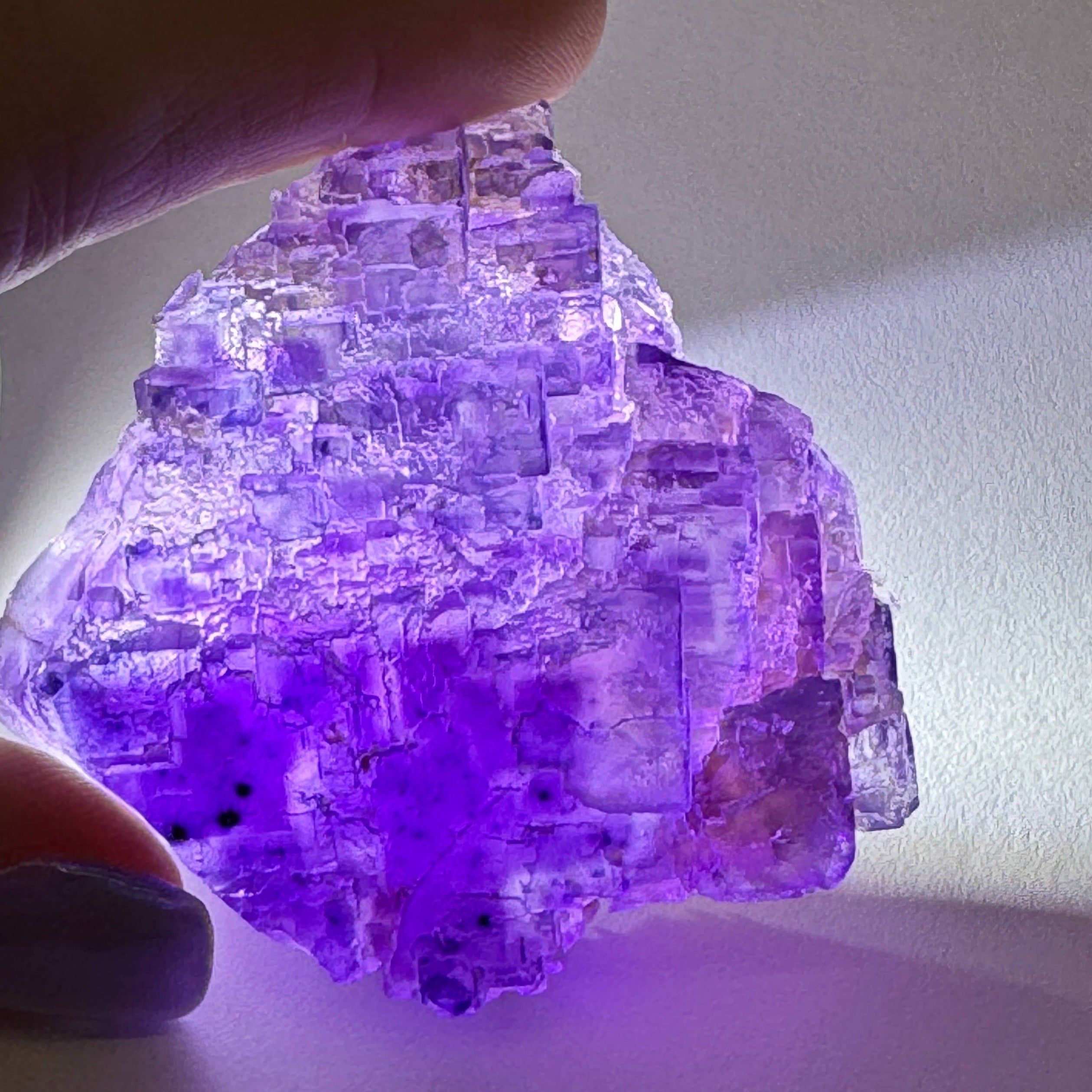 Zogno Italy rare Fluorite