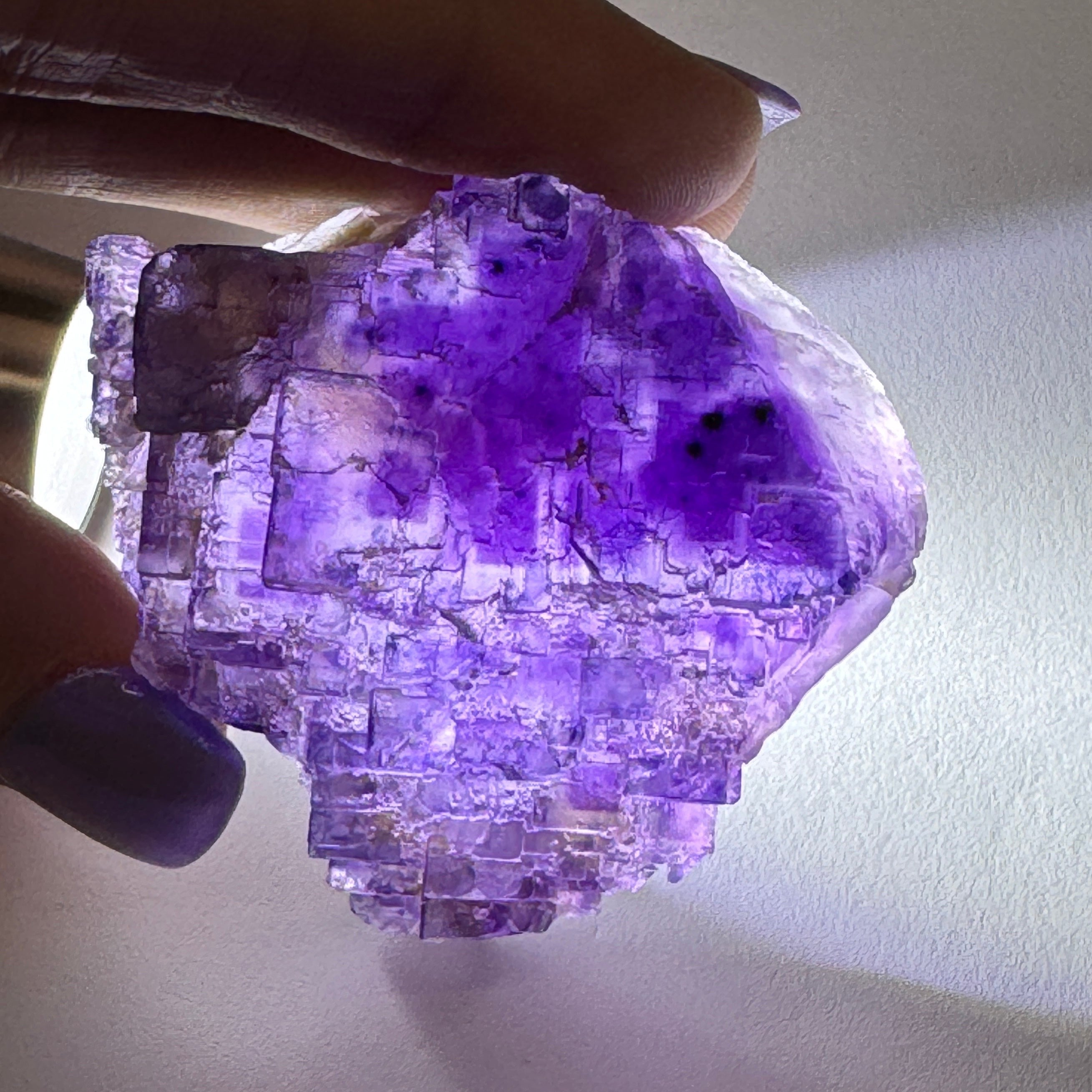 Fluorite-Zogno-Italy-Old-Stock