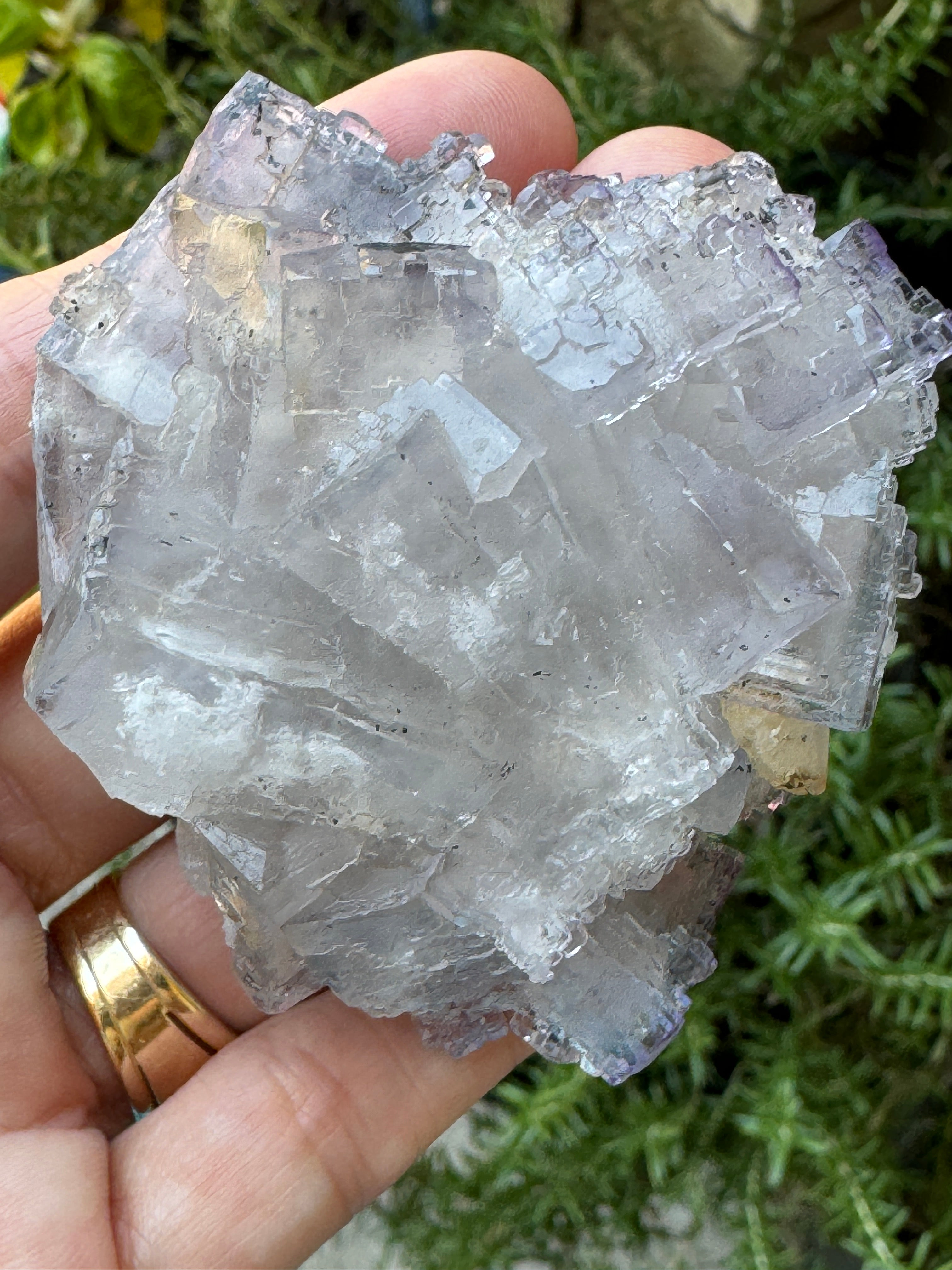 Fluorite Emilio Mine Spain Icy Blue Mineral Excellent Luster