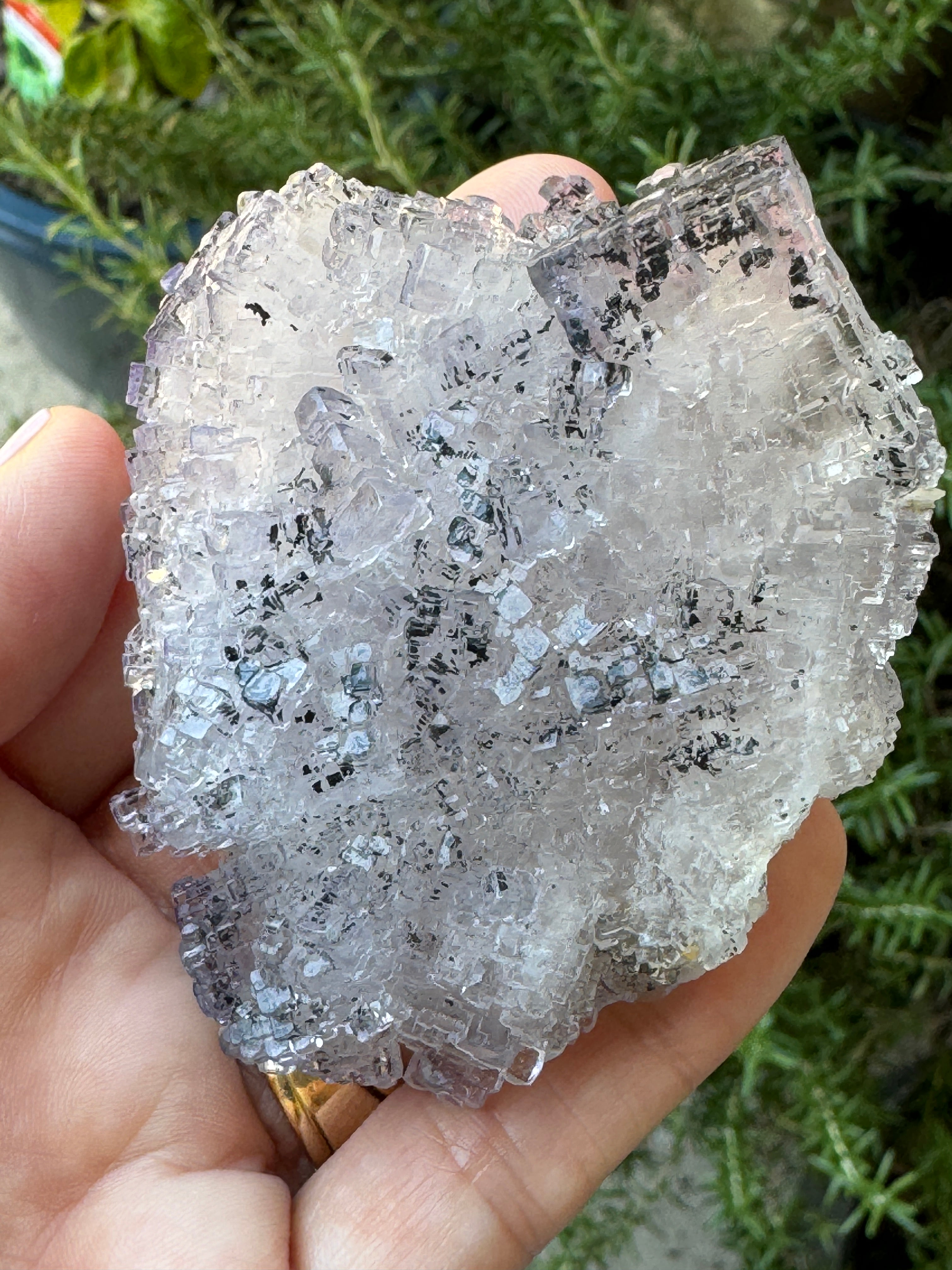 Fluorite Emilio Mine Spain Icy Blue Mineral Excellent Luster