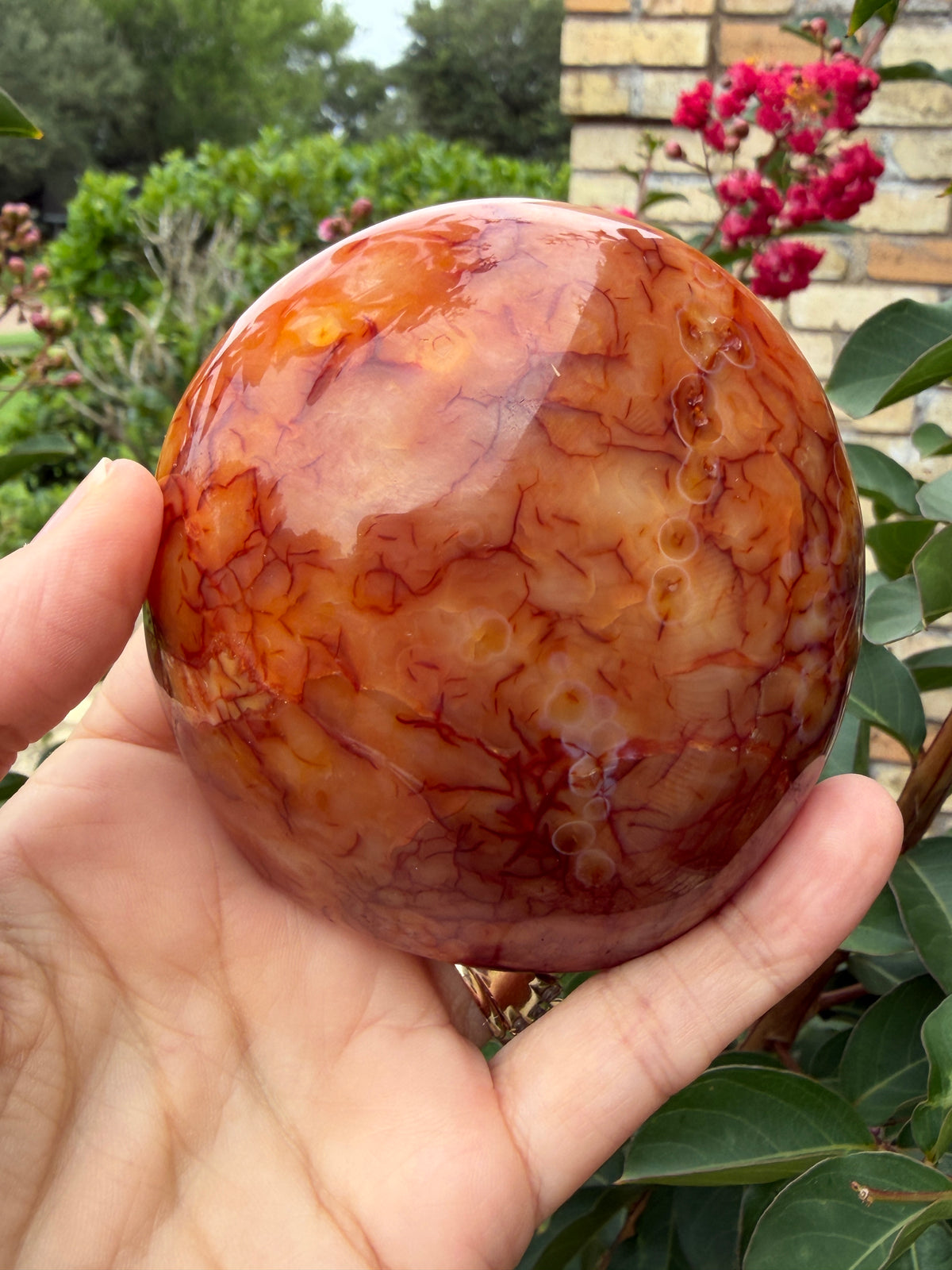 Carnelian Crystal Standing 307grams
