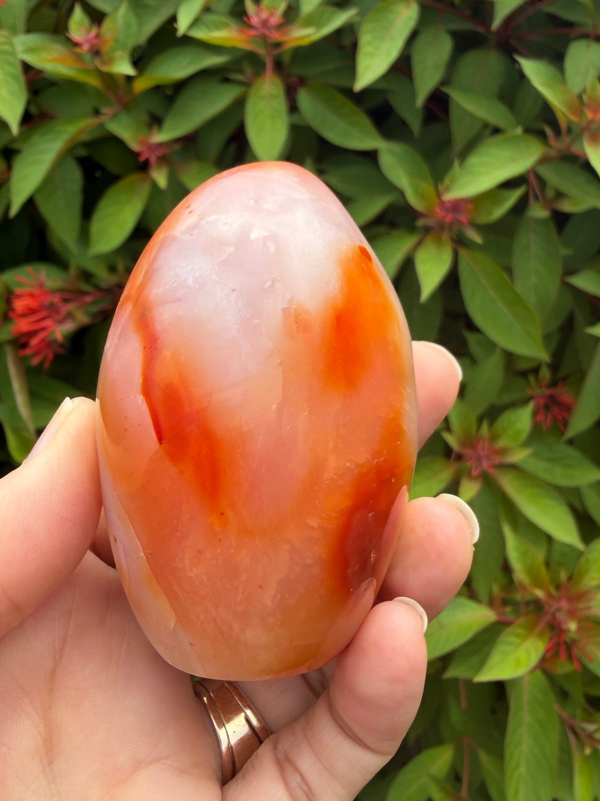 Carnelian Crystal Standing 243grams