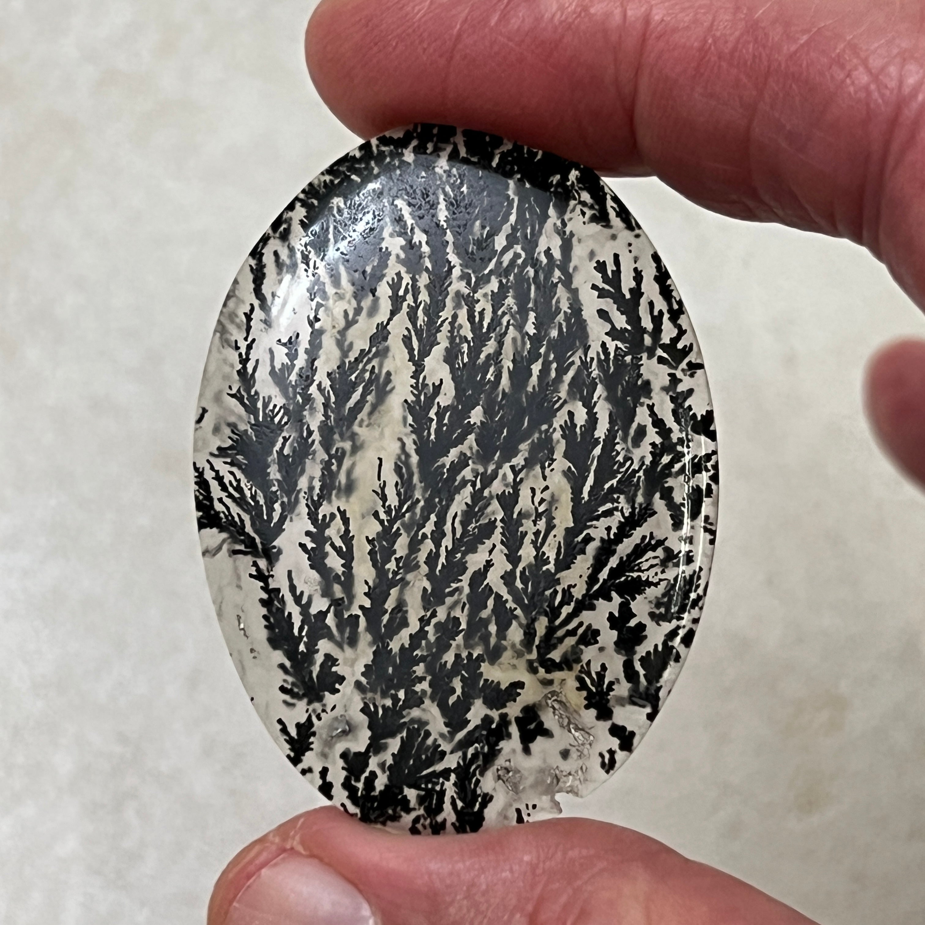 Black Plume Dendritic Agate - Rare- 1980's Alpine Texas