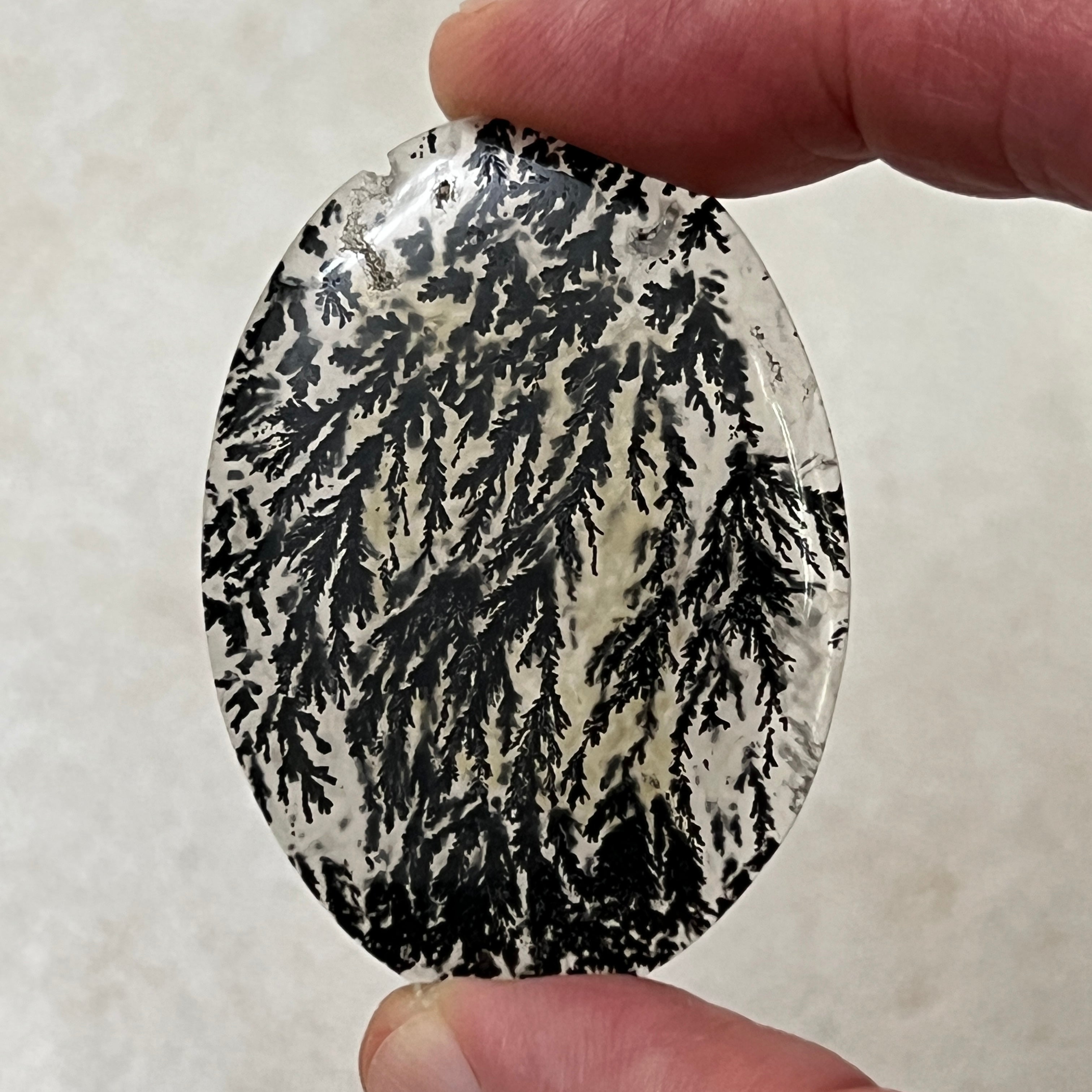 Black Plume Dendritic Agate - Rare- 1980's Alpine Texas