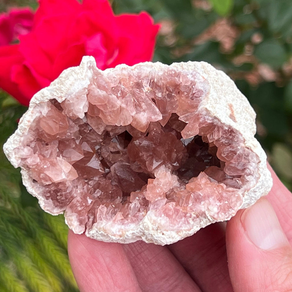 Gorgeous Pink Amethyst Crystal Geode