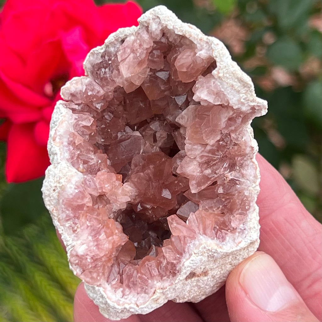 Deep Pink Amethyst Crystals Geode 109 grams