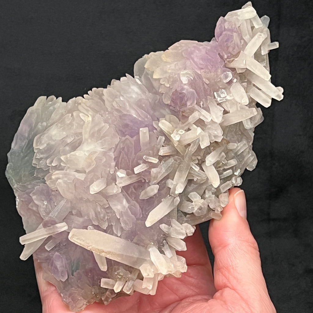 This is a sensational, large, overall fan shaped Quartz variety Amethyst Flower formation exhibiting beautiful, complex growth and elongated, well formed Calcite crystals.