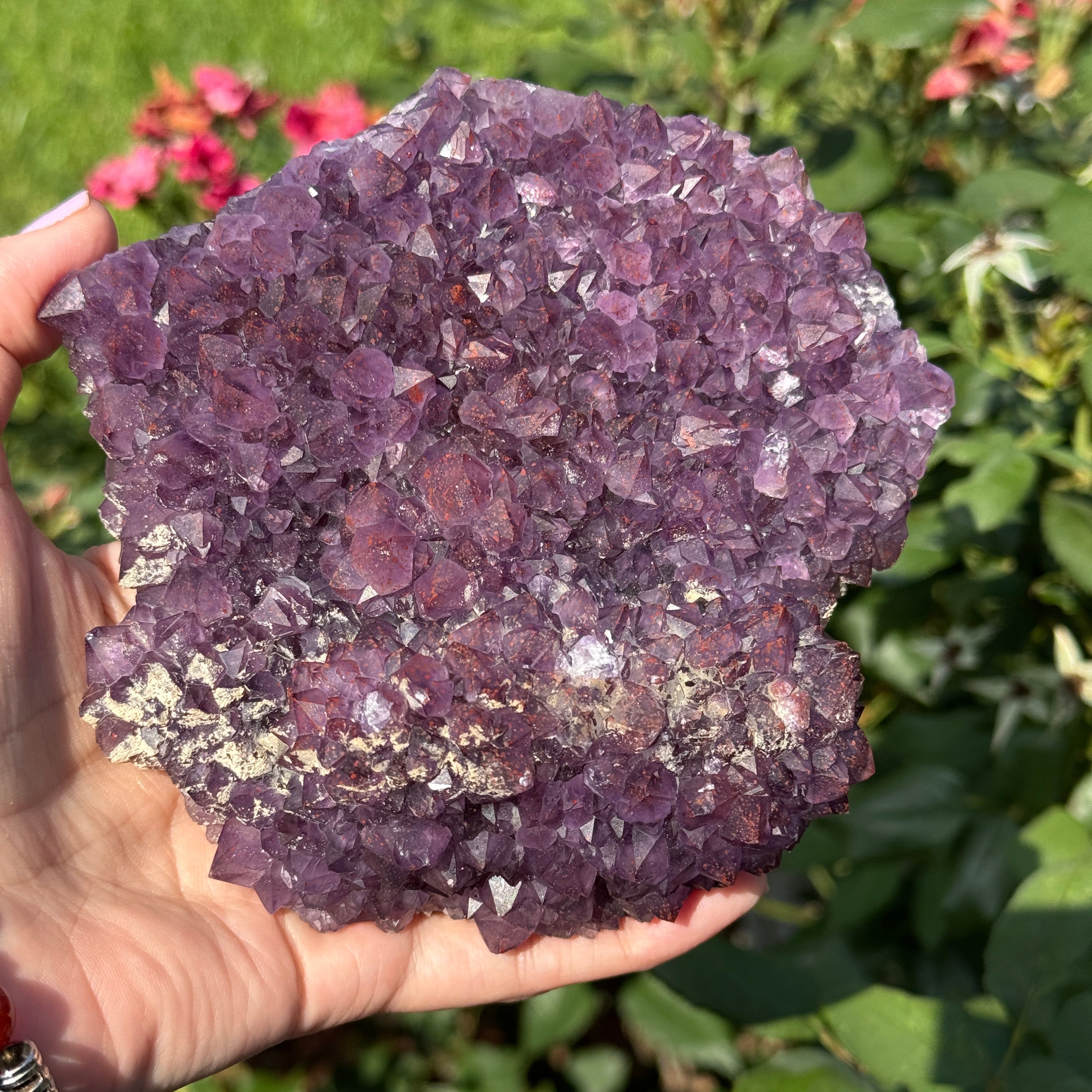 Amethyst plate cluster with Hematite