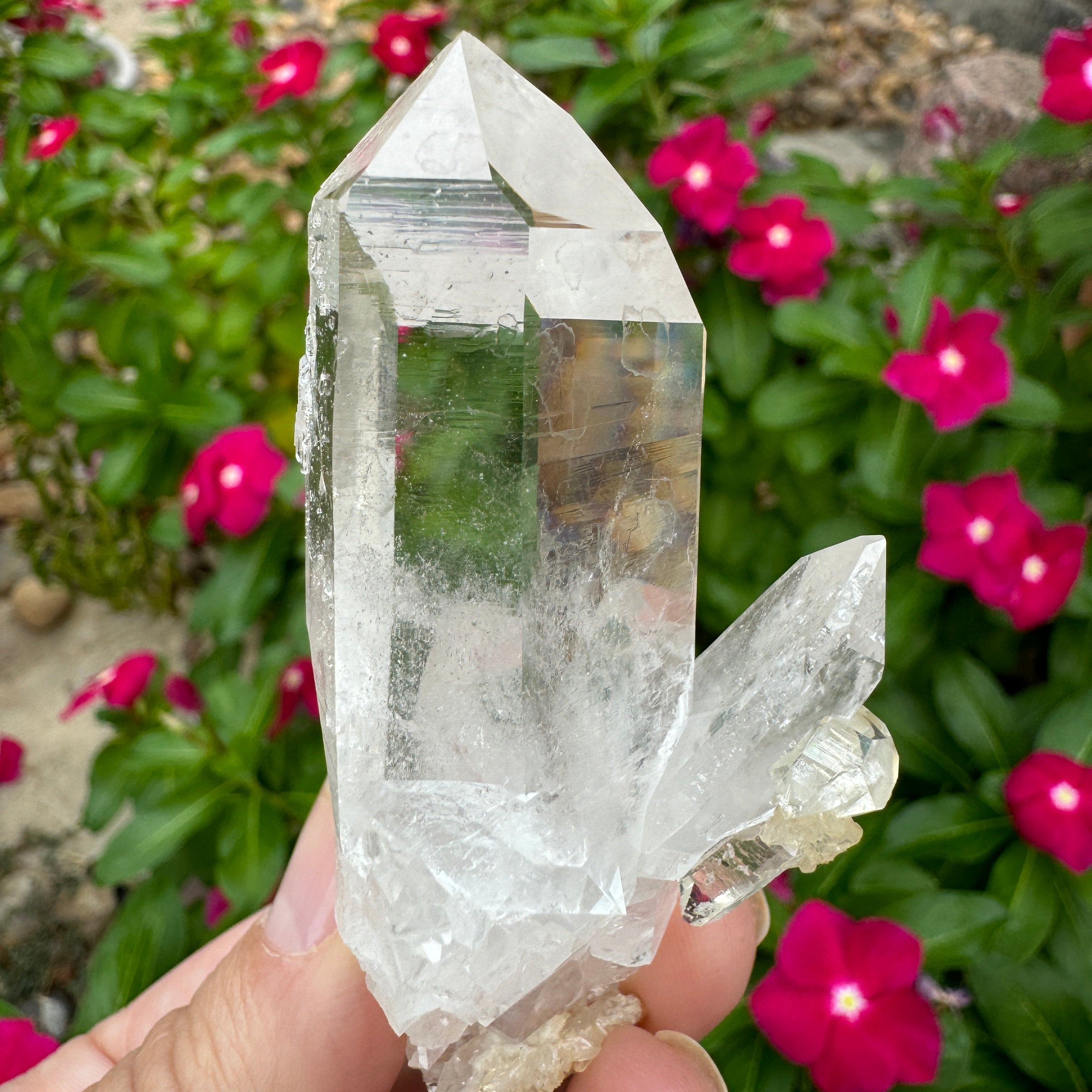 Quartz Crystal point, clear shown outside