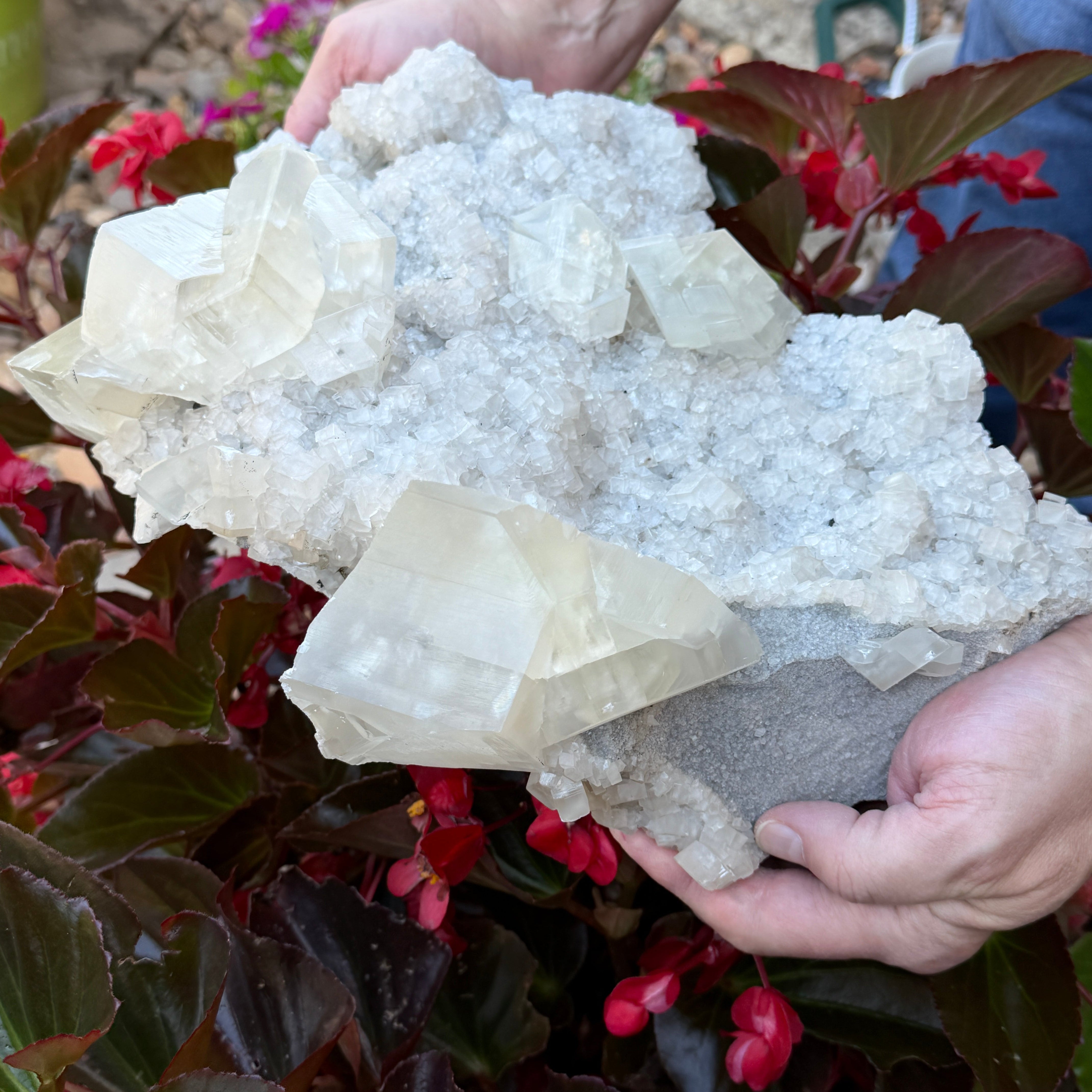 Person holding a crystal formation with plants in the background