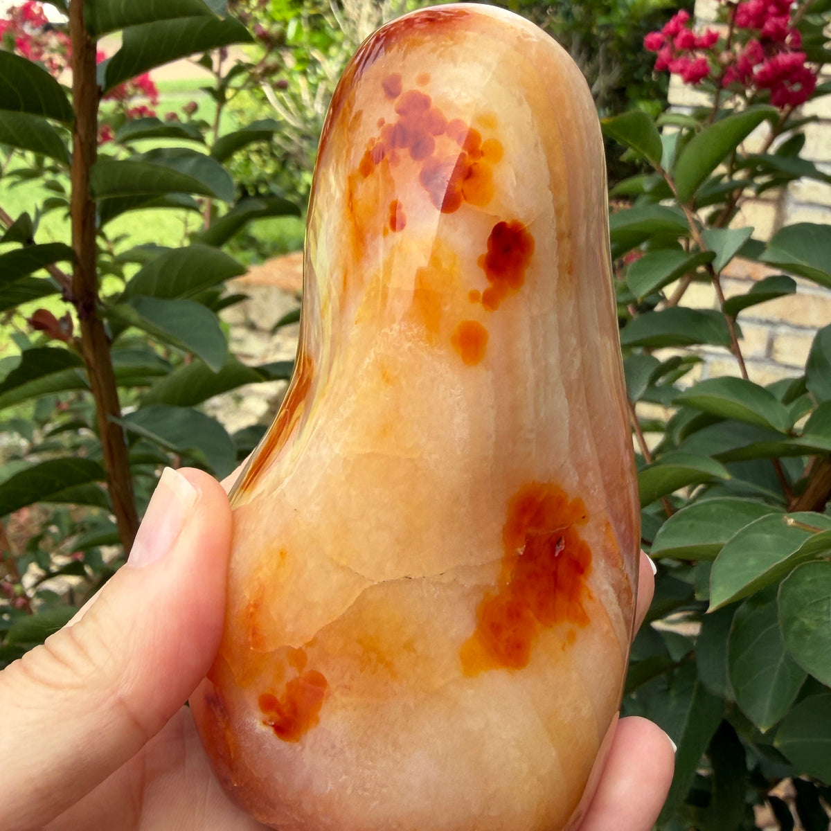 Carnelian freeform shaped polished