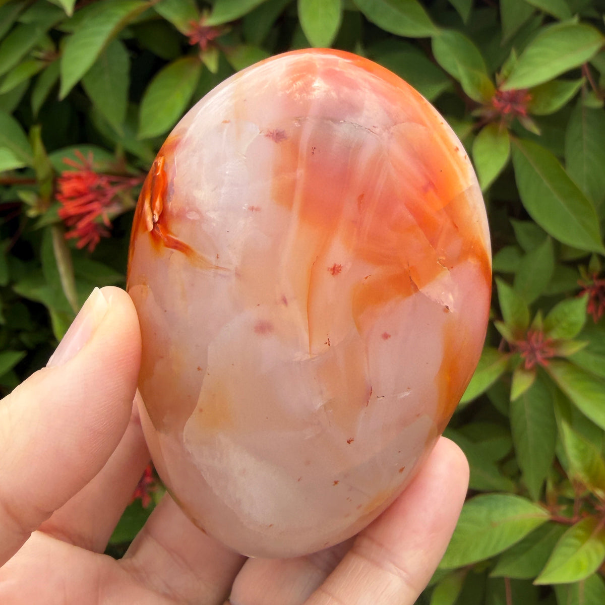 Carnelian shown in hand