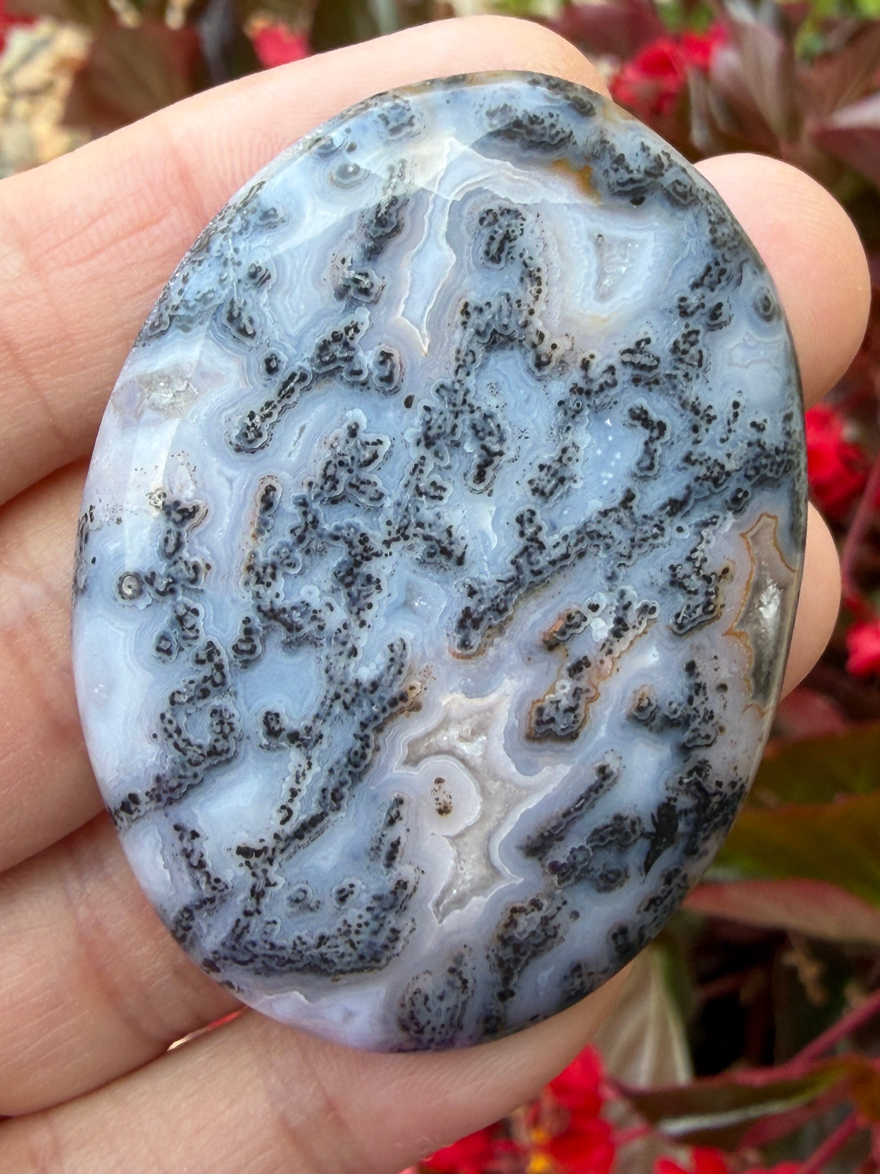 Black Plume Dendritic Agate - Rare- 1980's Alpine Texas
