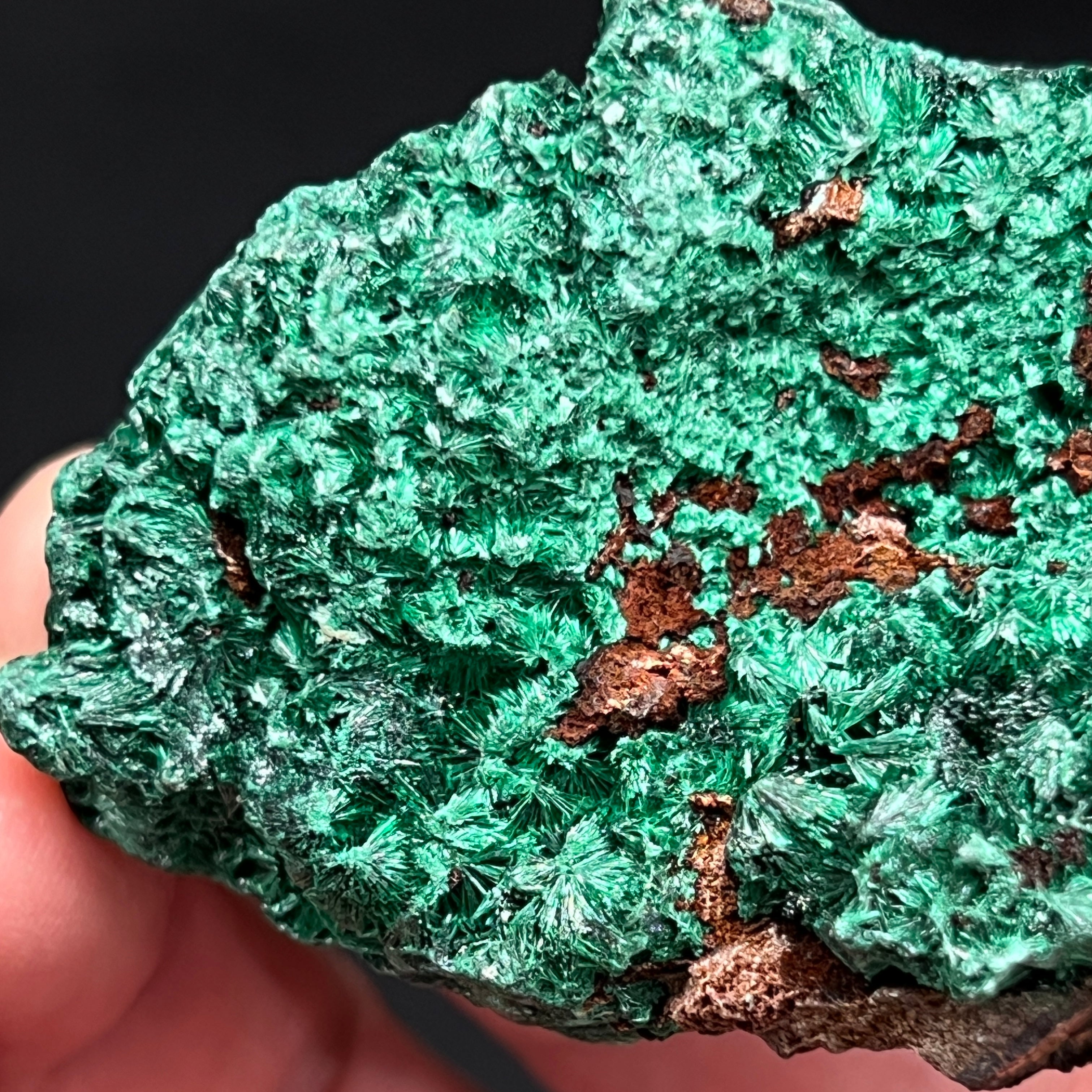The color of this Malachite variety Fibrous is gorgeous, varying slightly in shades of rich forest green to dark green.