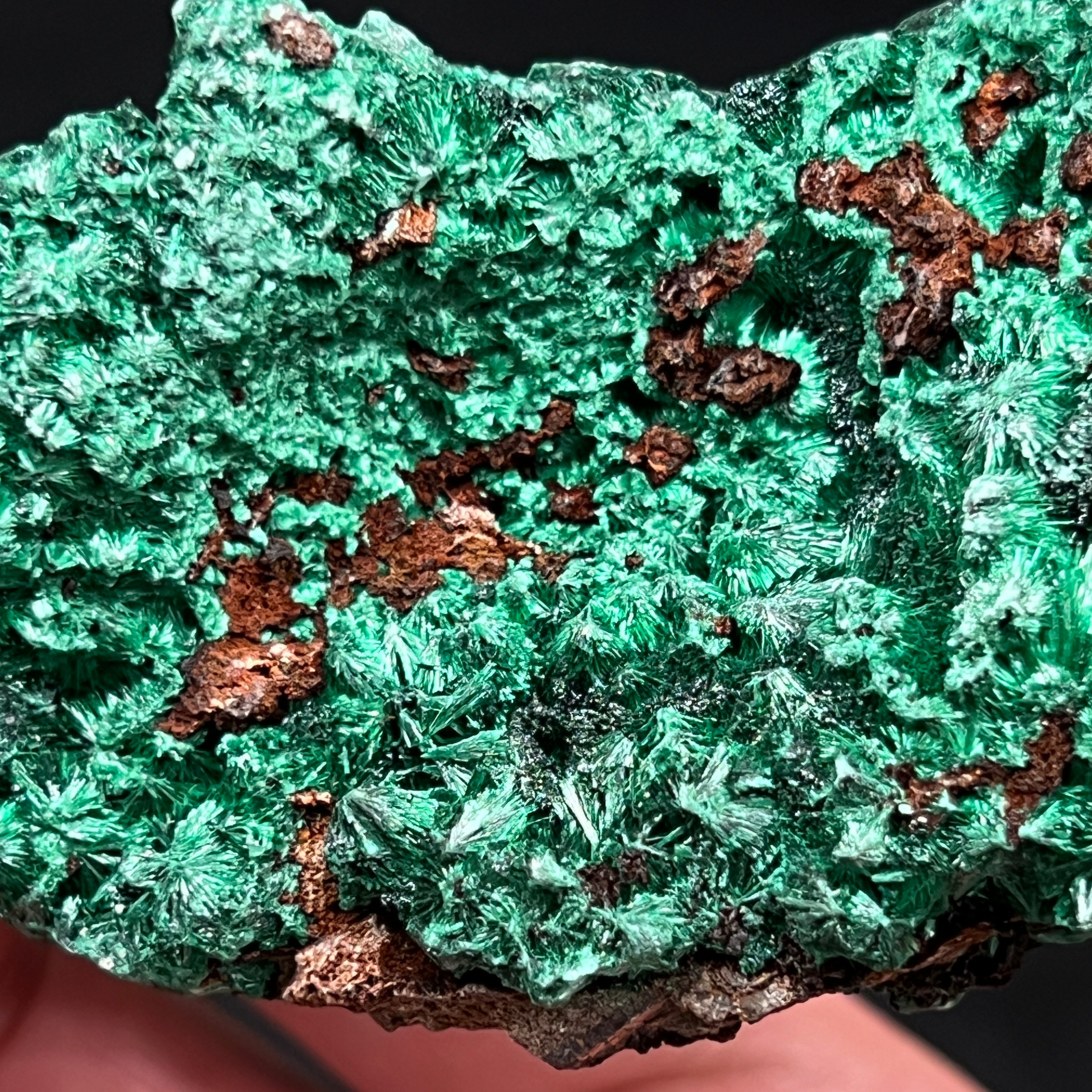 Close examination under magnification of the matrix that the Fibrous Malachite is growing on reveals, not surprisingly, copper bearing characteristics.