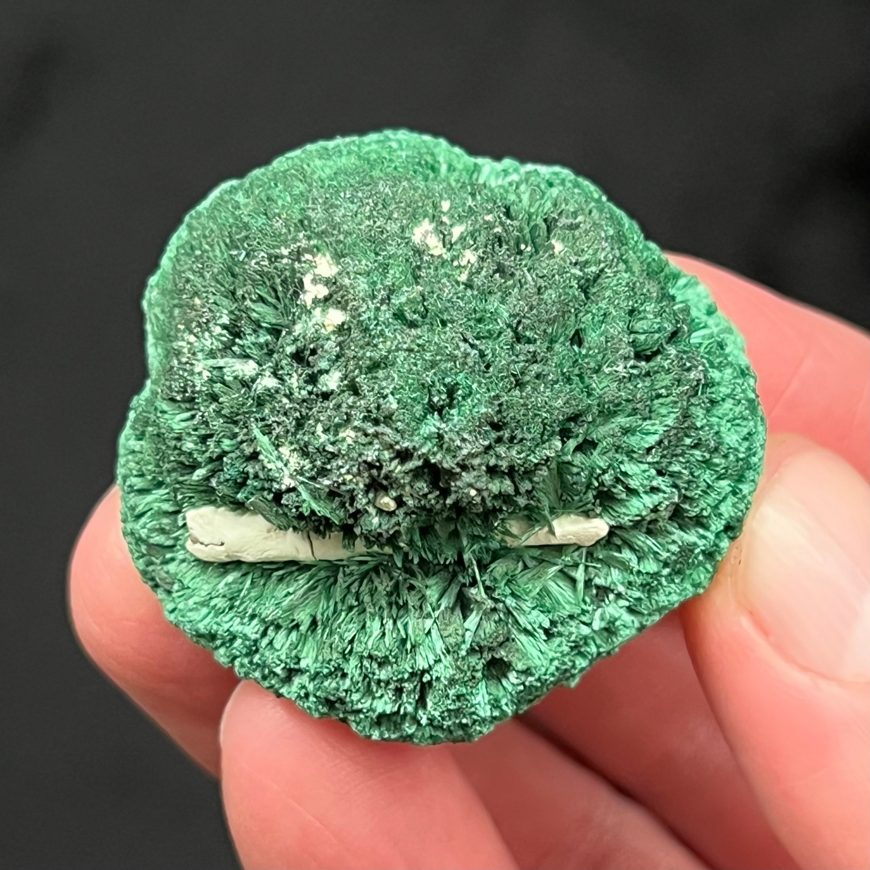 Malachite is often referred to as one of the most beautiful minerals on Earth. Malachite is what is known in the mineralogical world as a secondary copper mineral and is discovered in the oxidized upper zones of copper mines.