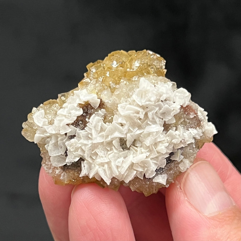 Here is another look at the beautiful clusters of well formed saddle shaped Dolomite crystals on this fine piece.
