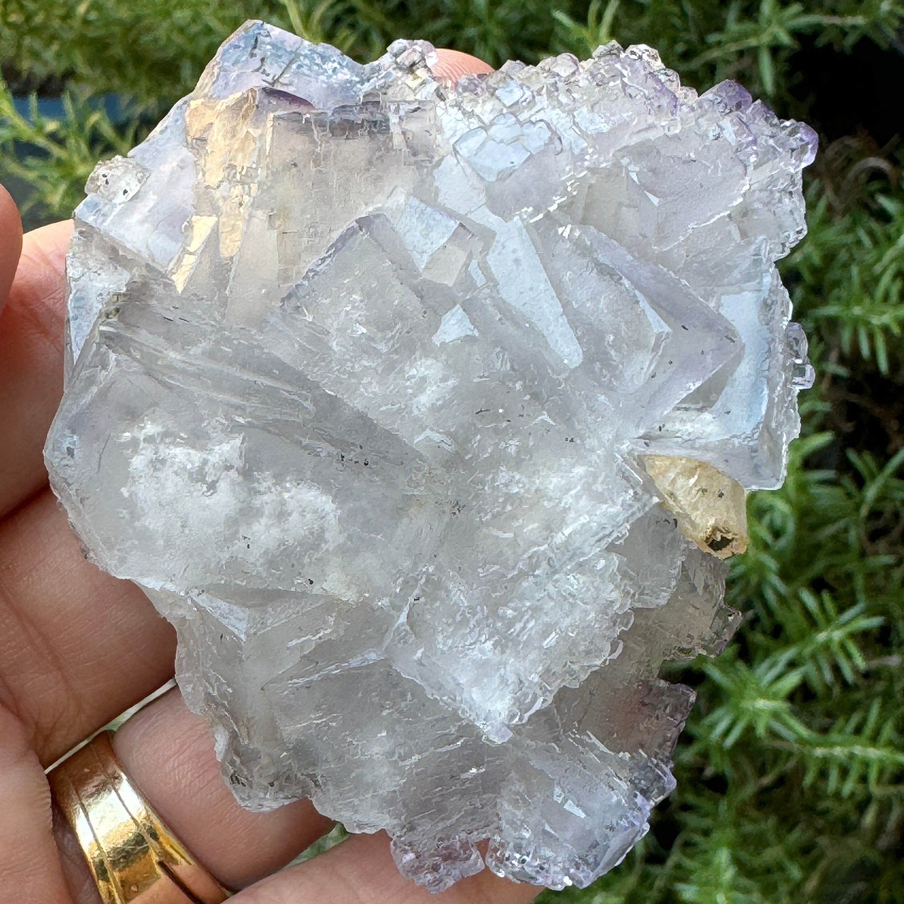Fluorite Cluster Icy Emilio Mine