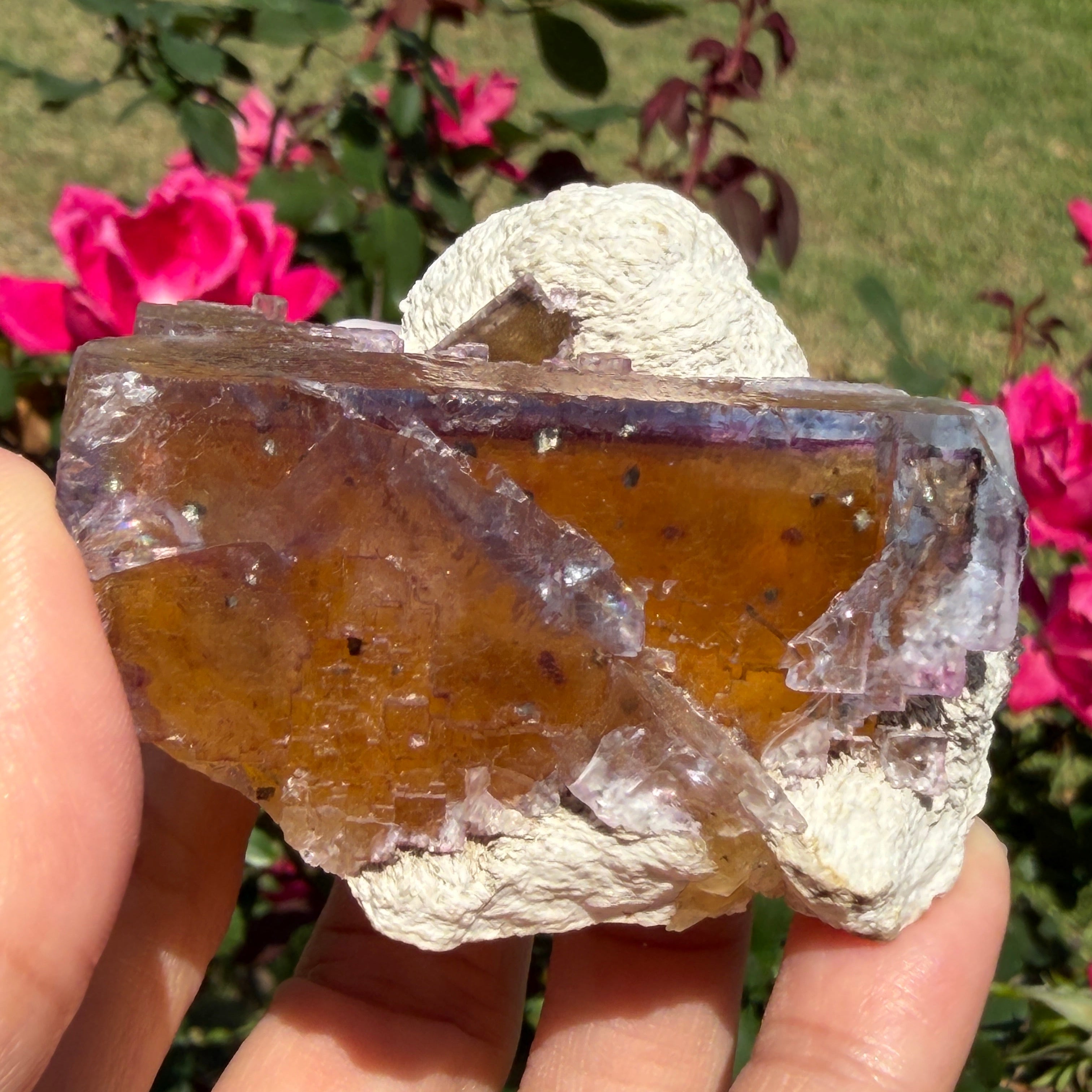 Hand holding Fluorite mineral specimen