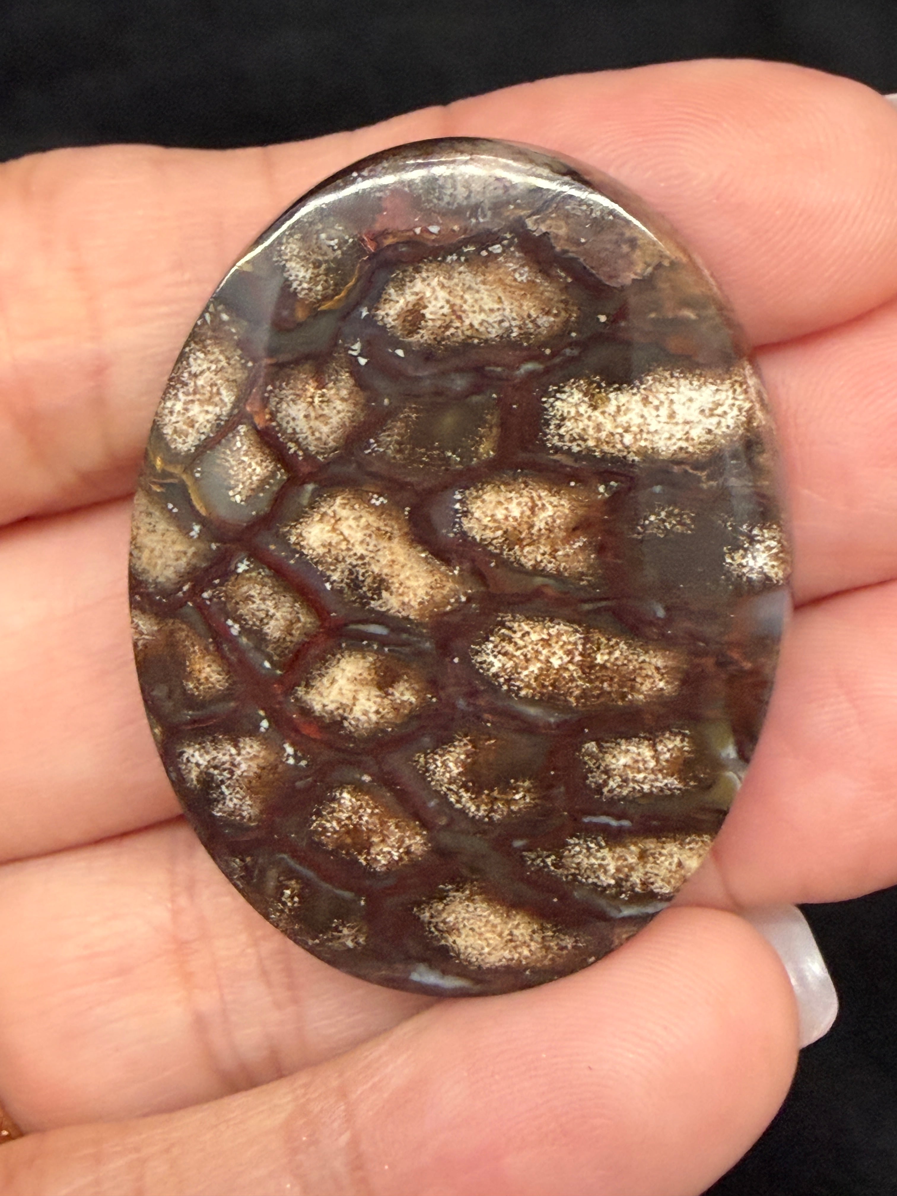 Pine Cone Fossil cabochon in hand