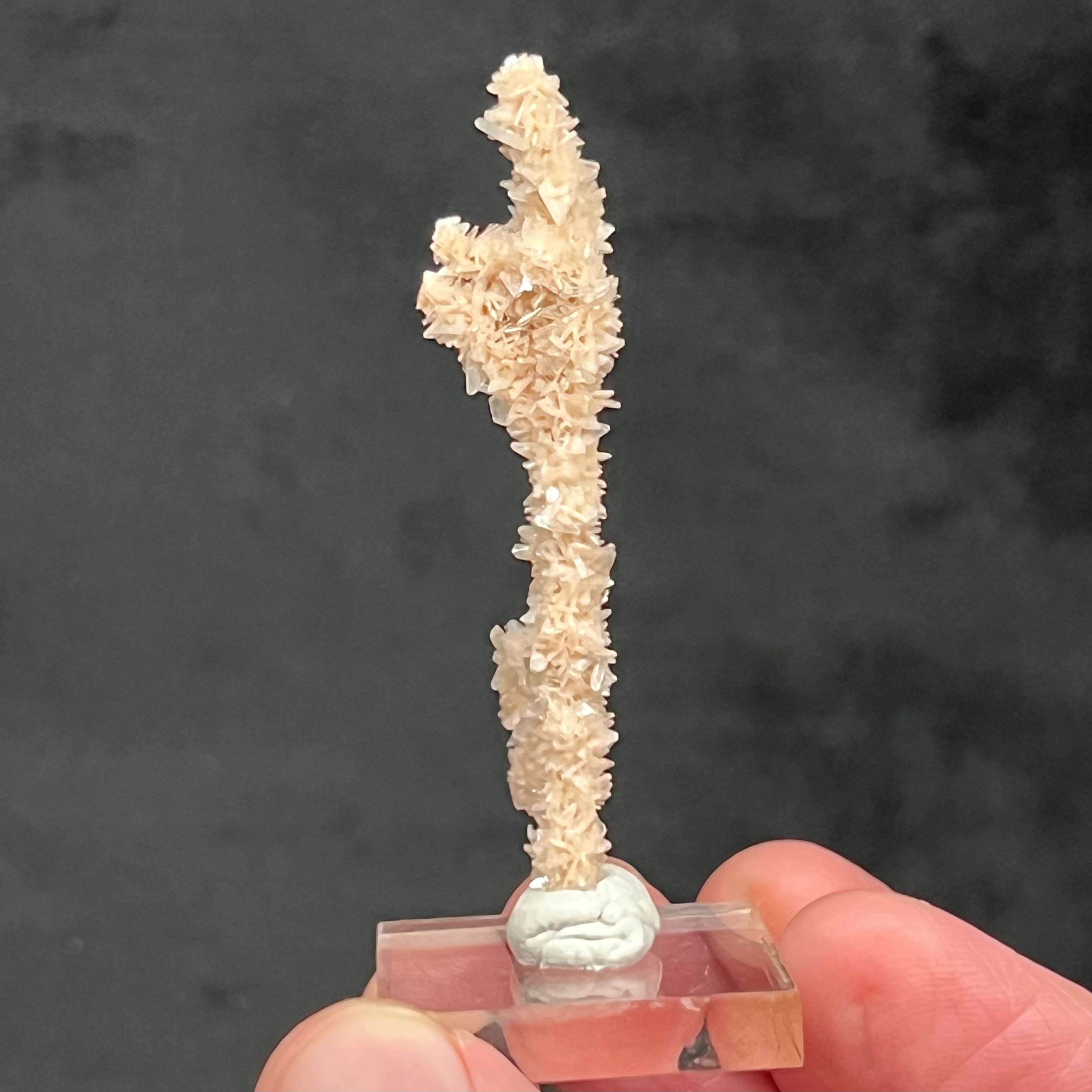 Purchase with confidence from knowledgeable mineral collectors and sellers, constantly placing the highest priority on accuracy, knowledge and service to you, the collector of gift giver. The source for this surprising and exceptional Heulandite and Stilbite Stalactite formation is Sakur, the Ahmednagar District, Nashik Division, Maharashtra, India.