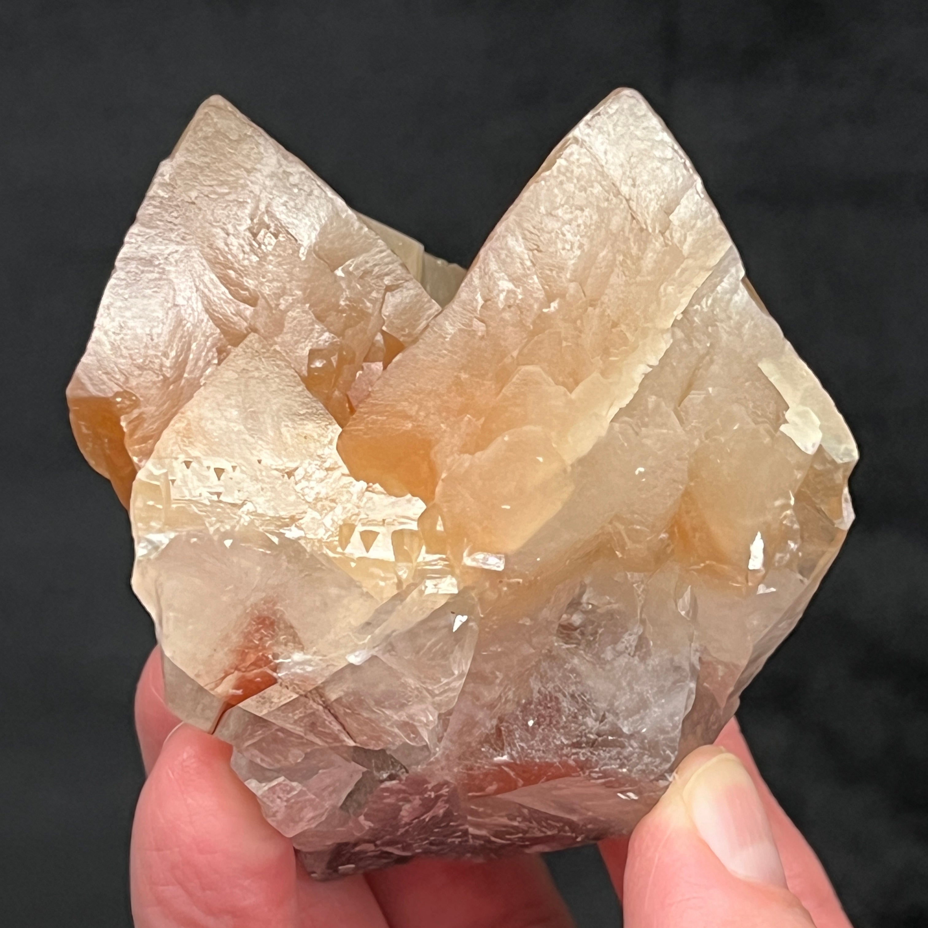 The luster emanating from the surface of these scalenohedral Mariposa Calcite crystals is beautiful, giving some of the crystals in this specimen a shiny appearance.
