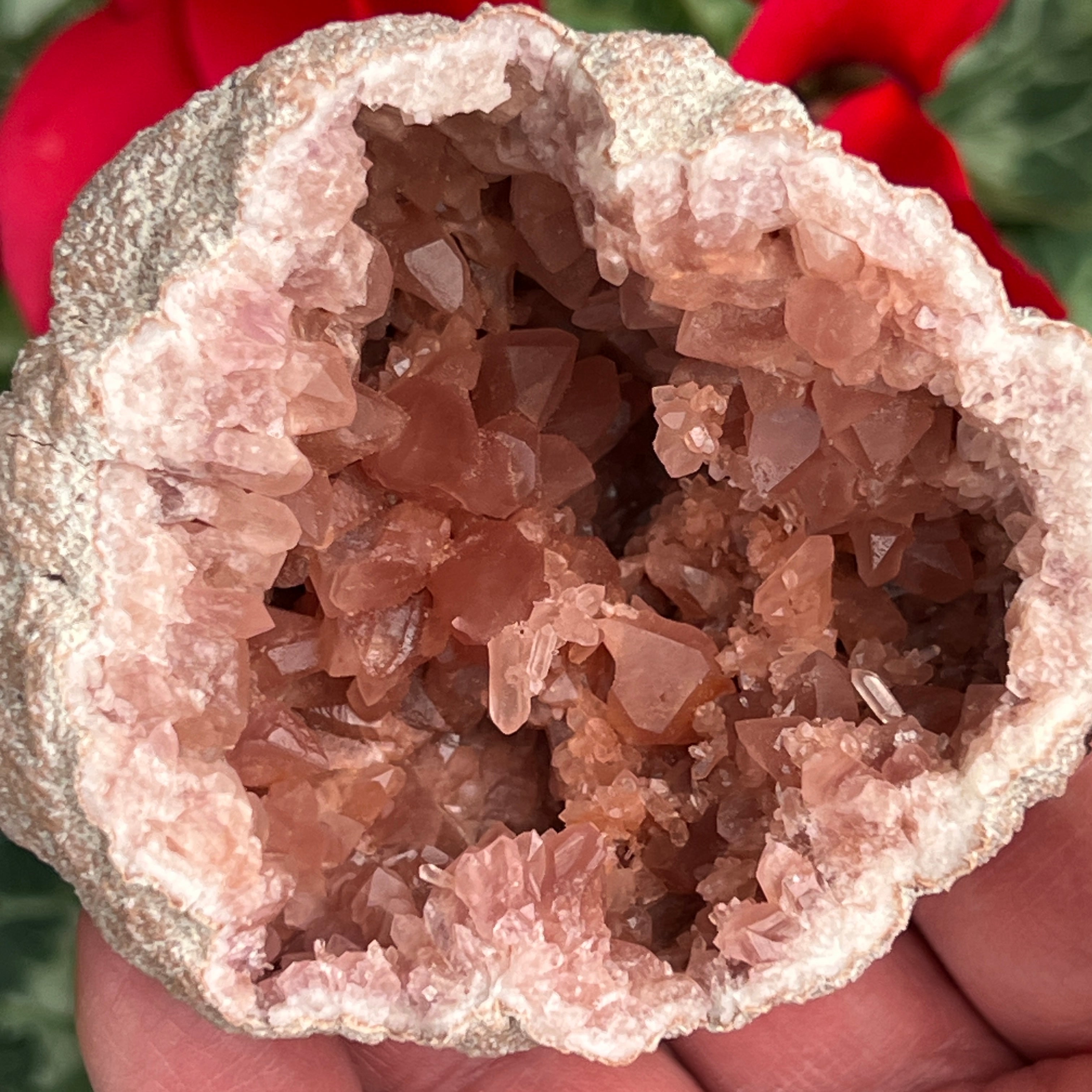 This is an excellent example of a beautiful, well balanced, quality, Pink Amethyst Crystals Geode specimen with darker pink color.