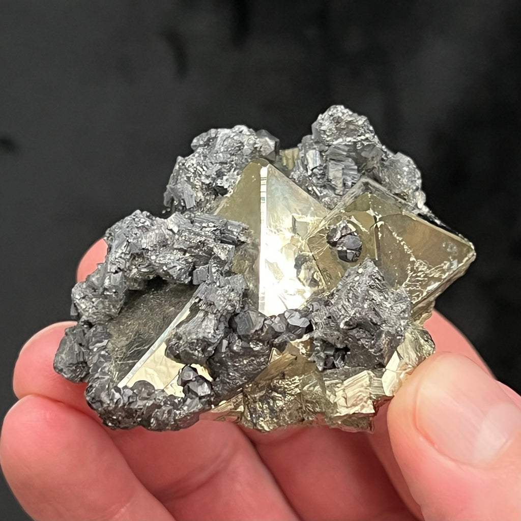 The Pyrite crystals presenting on this excellent piece are shiny and reflective. The source for this fine octahedral Pyrite is the Huanzala Mine, Huallanca, Bolognesi Province, Ancash, Peru.