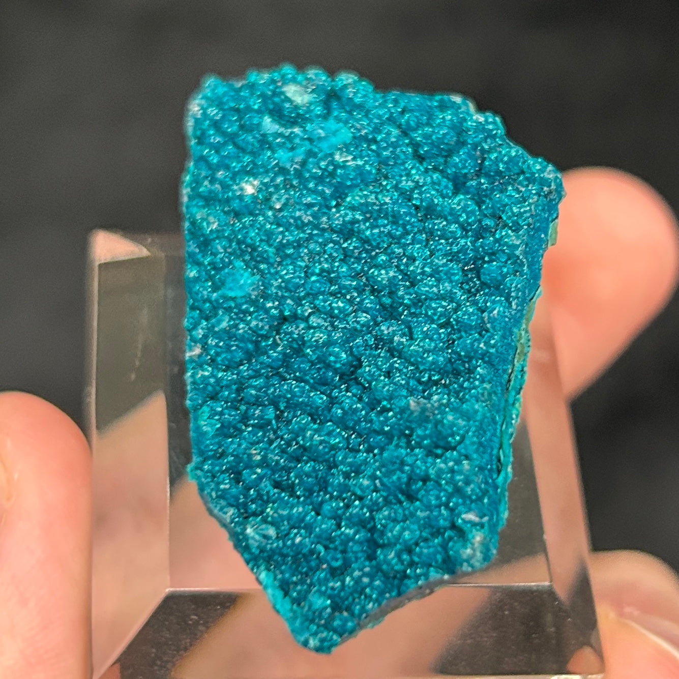 Chrysocolla Vivid Blue Cunyari Peru Mineral 9grams