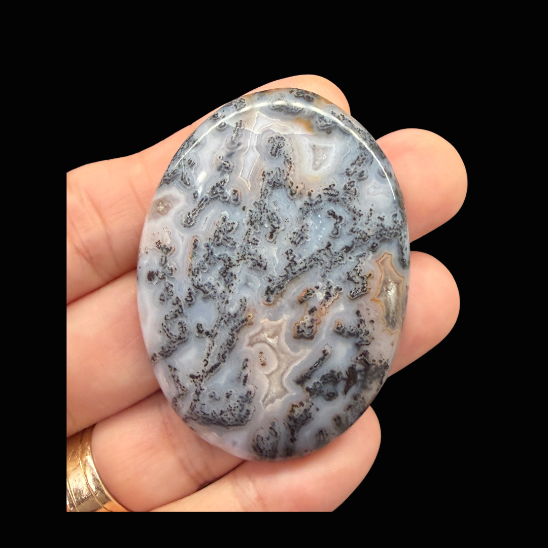 Polished-Black-Dendritic-Plume-Texas