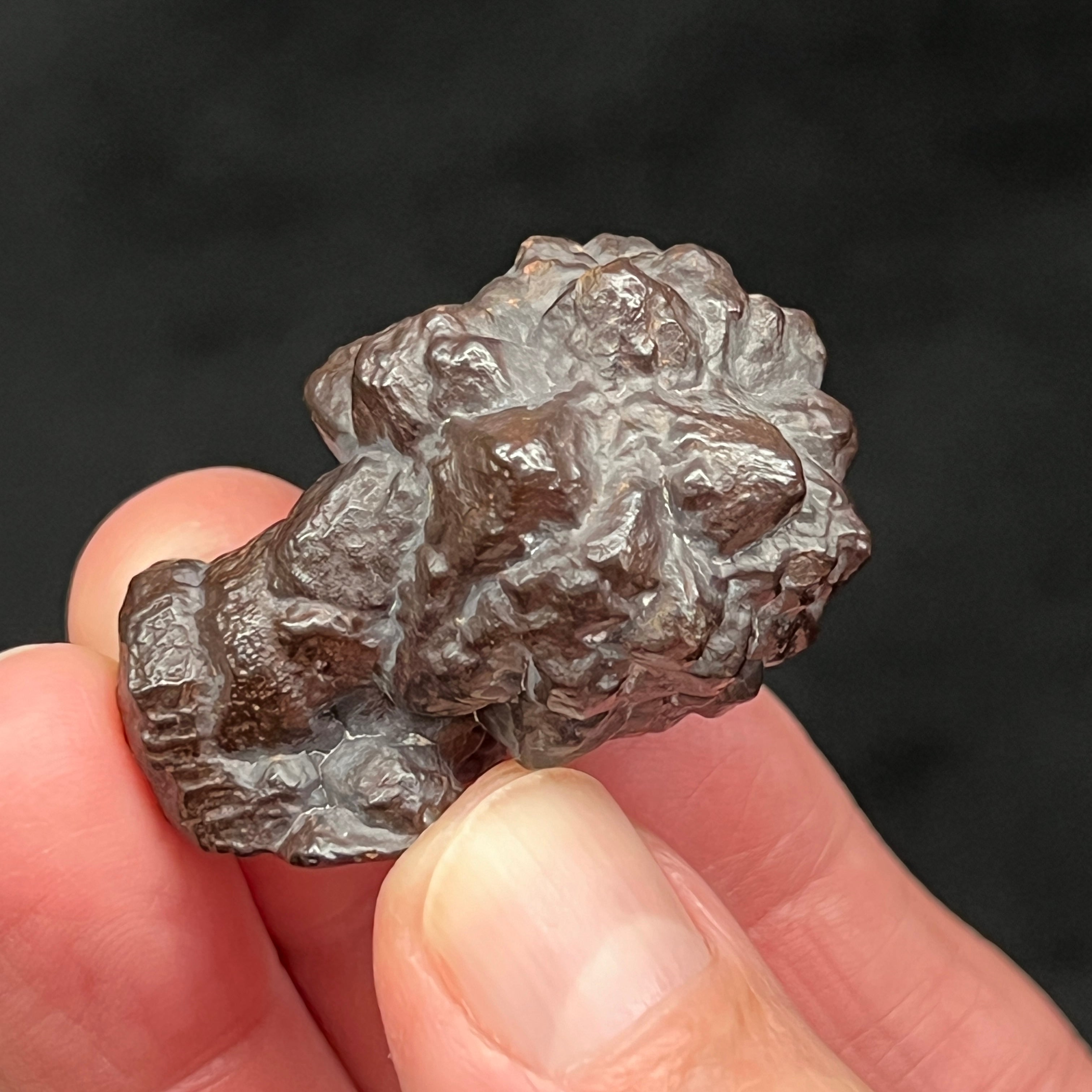 Here is another angle of this fascinating, flower-like Prophecy Stone from the White Desert in Egypt.