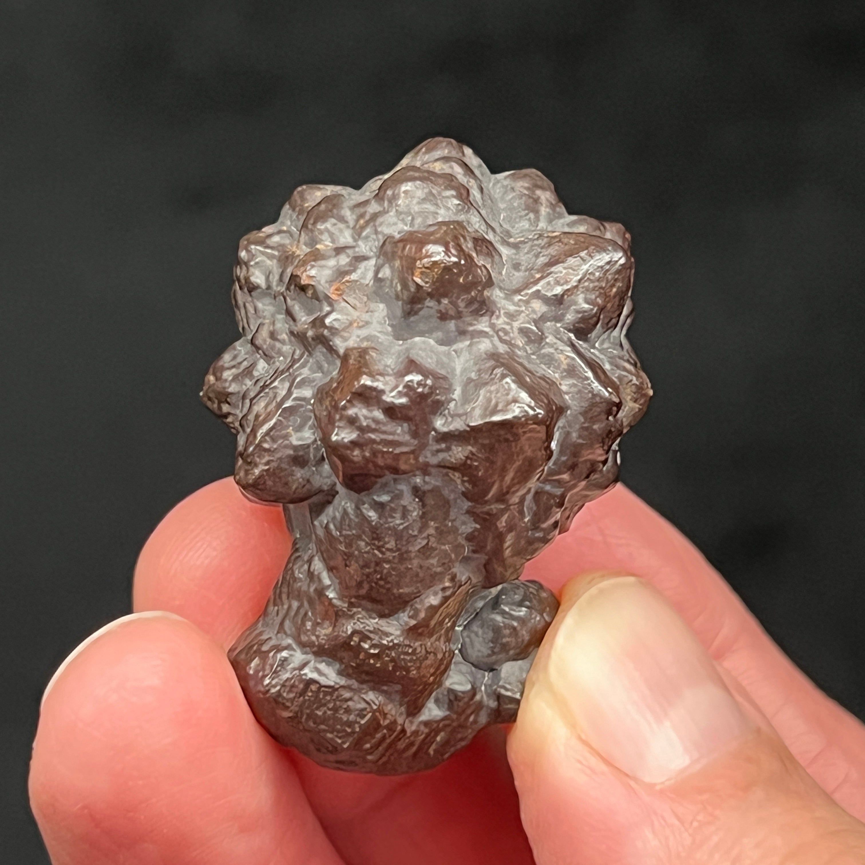 This fine example of a Prophecy Stone, mineralogically Hematite, Goethite Pseudomorph after Marcasite, Pyrite, exhibits a fascinating sort of spikey, flower-like symmetry with some of the pyramidal forms presenting intermingled.