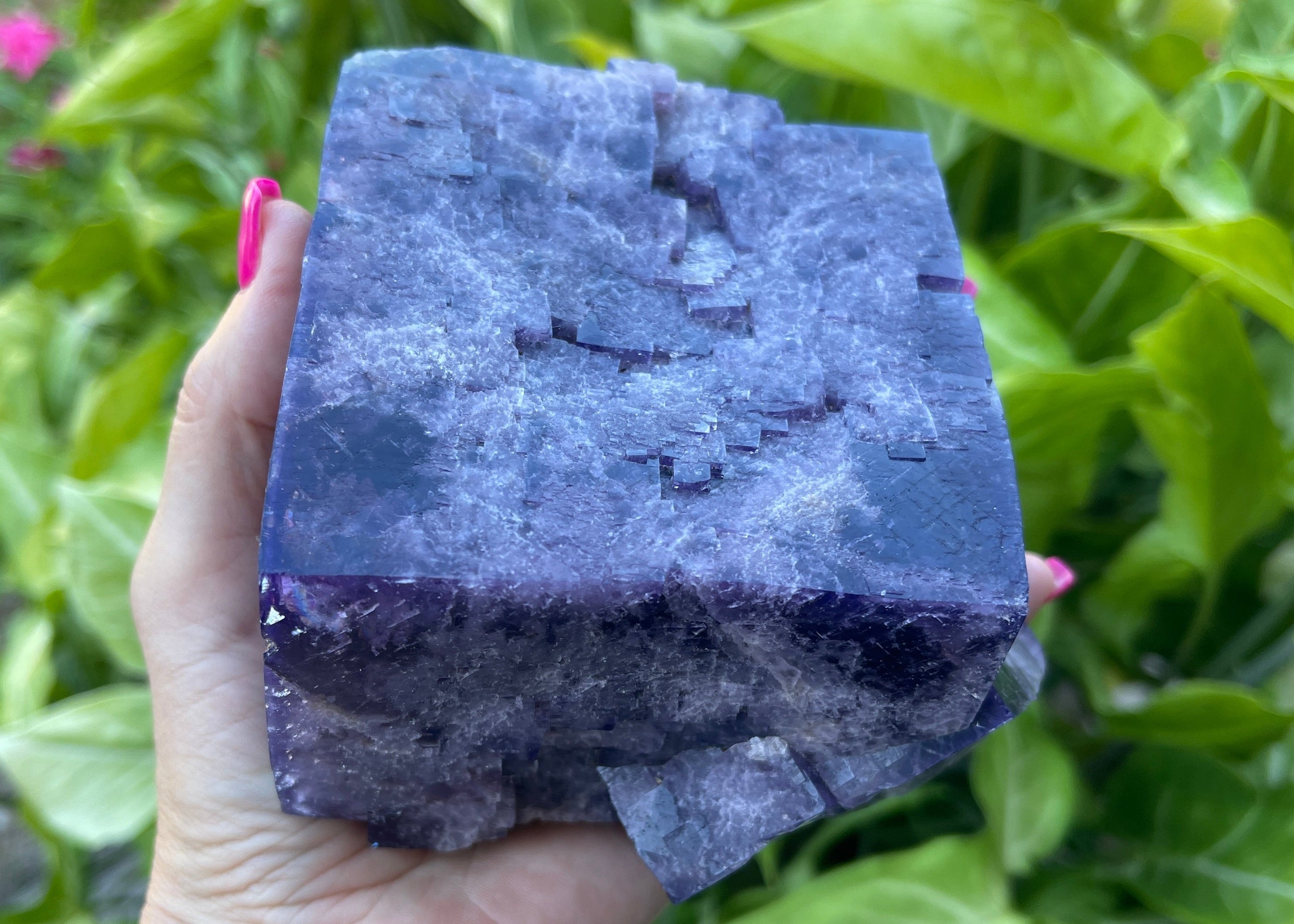 Hand holding a purple crystal block with green foliage in the background