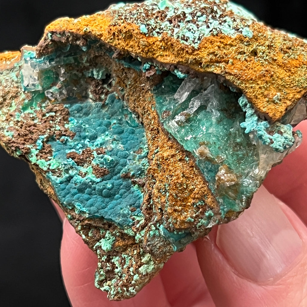 This botryoidal or mammillary Rosasite presents with a variance of hues; excellent, deep, dark blue, blue-green, and light blue color and appears covered by sparkling Calcite in some areas of the specimen. 