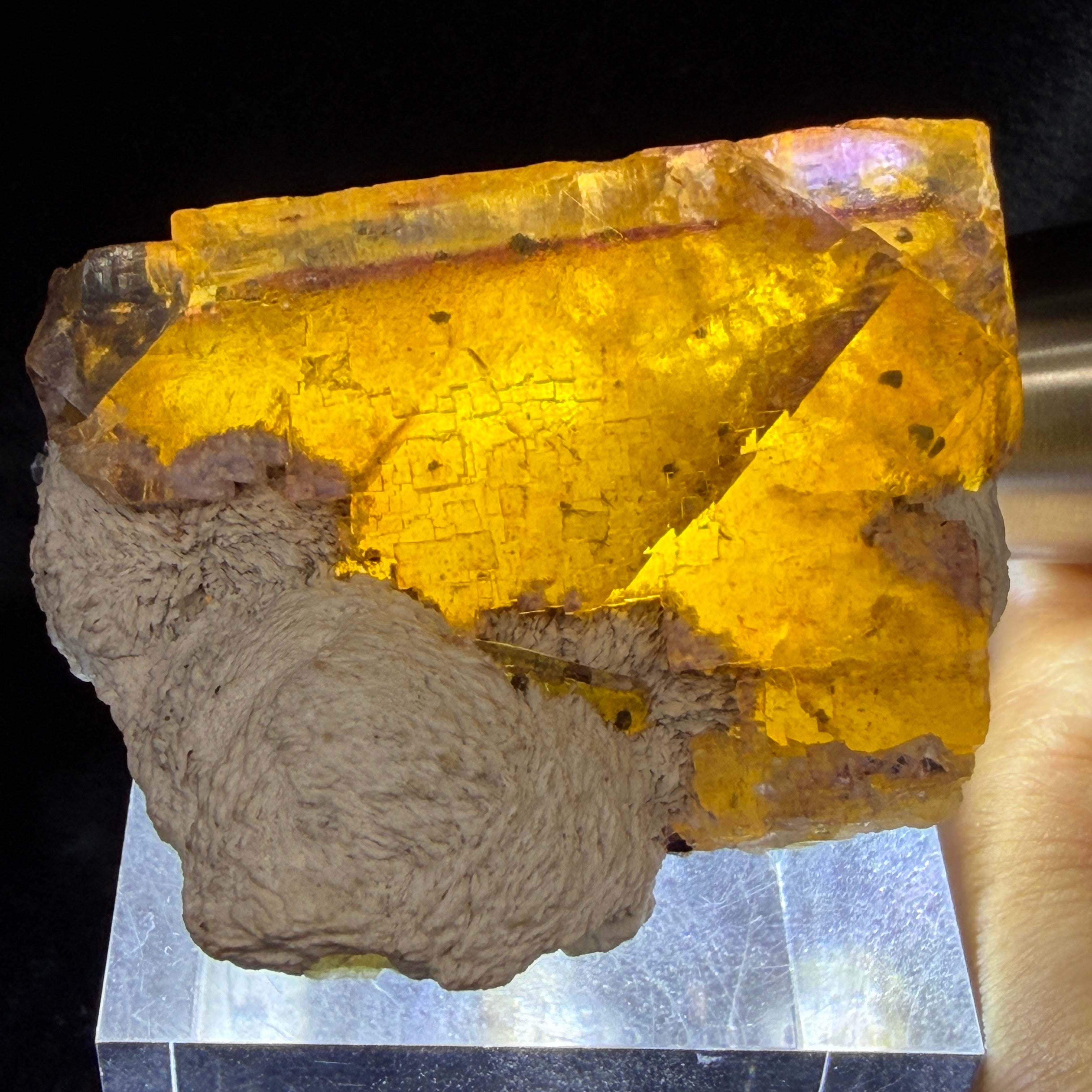 Close-up of a yellow Fluorite crystal with a dark background, show zoning in Fluorite