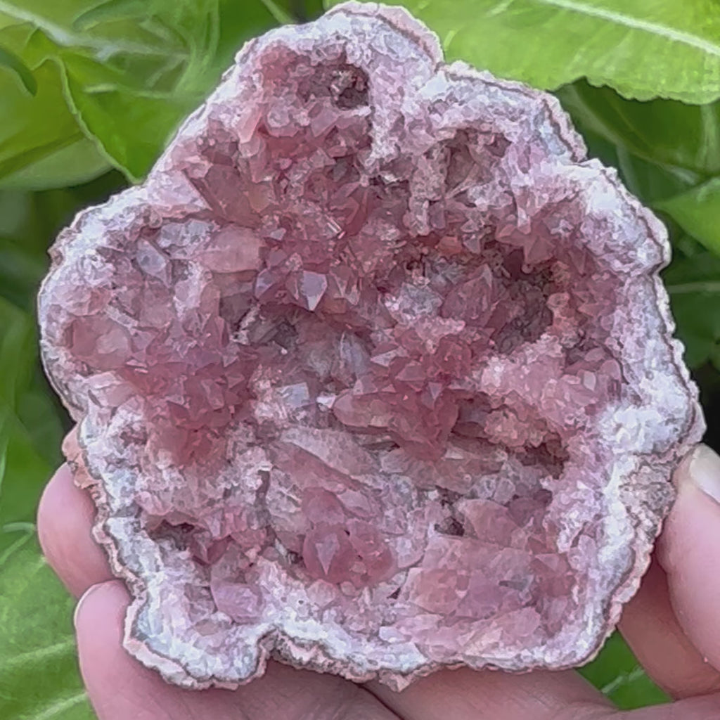 This is a high grade Pink Amethyst Geode specimen from the Colli Cura Mine in Argentina.