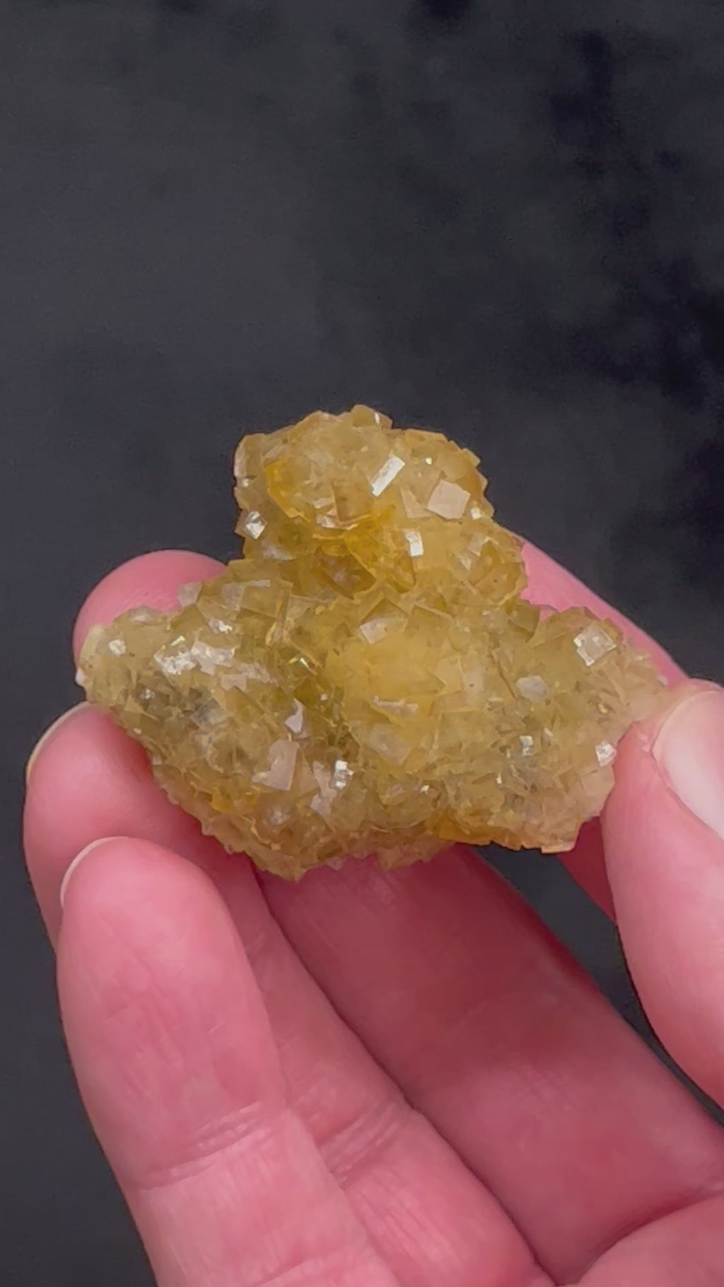 This is an excellent example of yellow Fluorite with bright white Dolomite exhibiting terrific luster and sparkle from the Moscona Mine, El Ponton de Solis, Corvera de Asturias, Asturias, Spain.