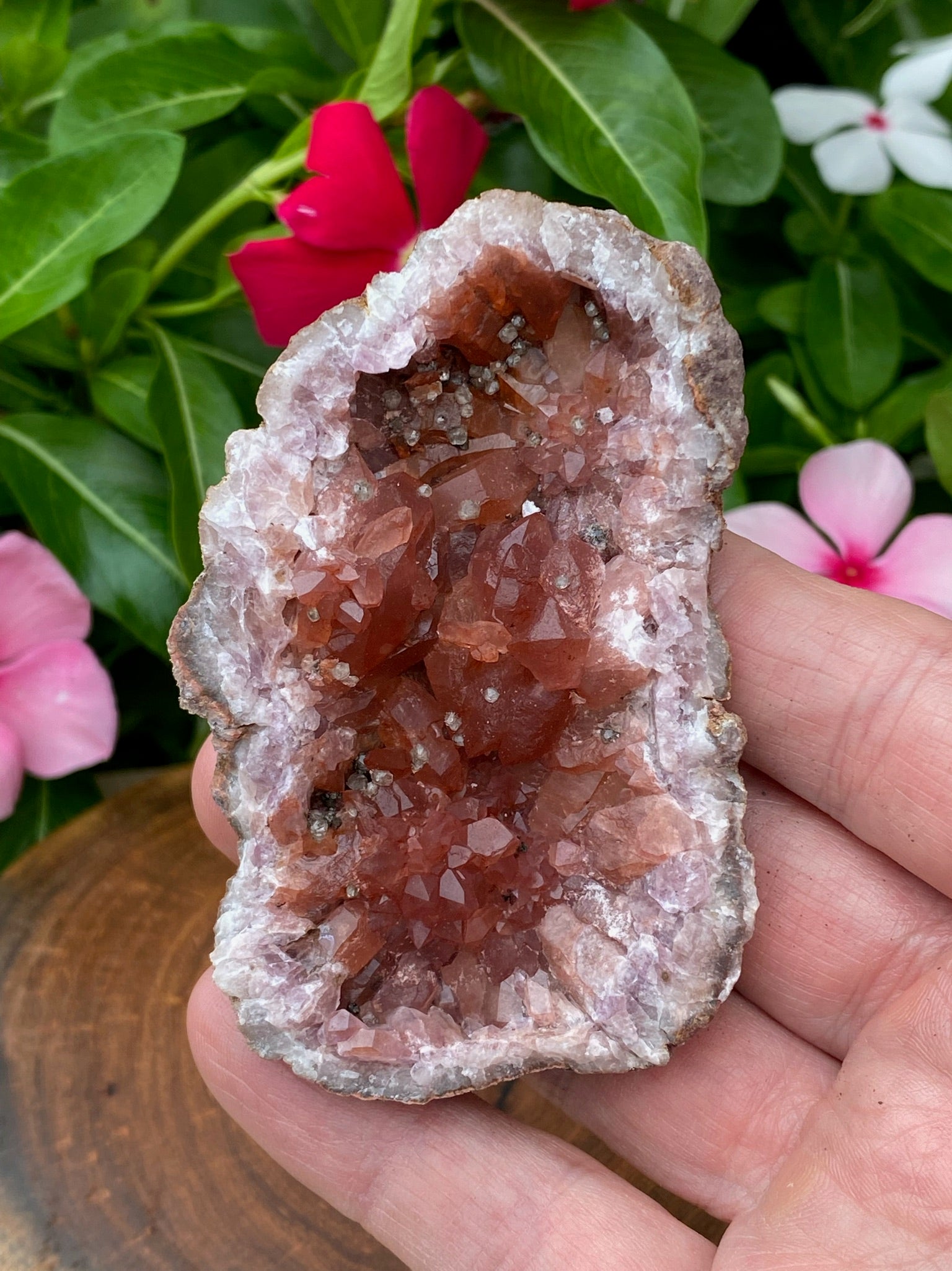 Pink Amethyst Crystal Geode with Hematite 81 grams