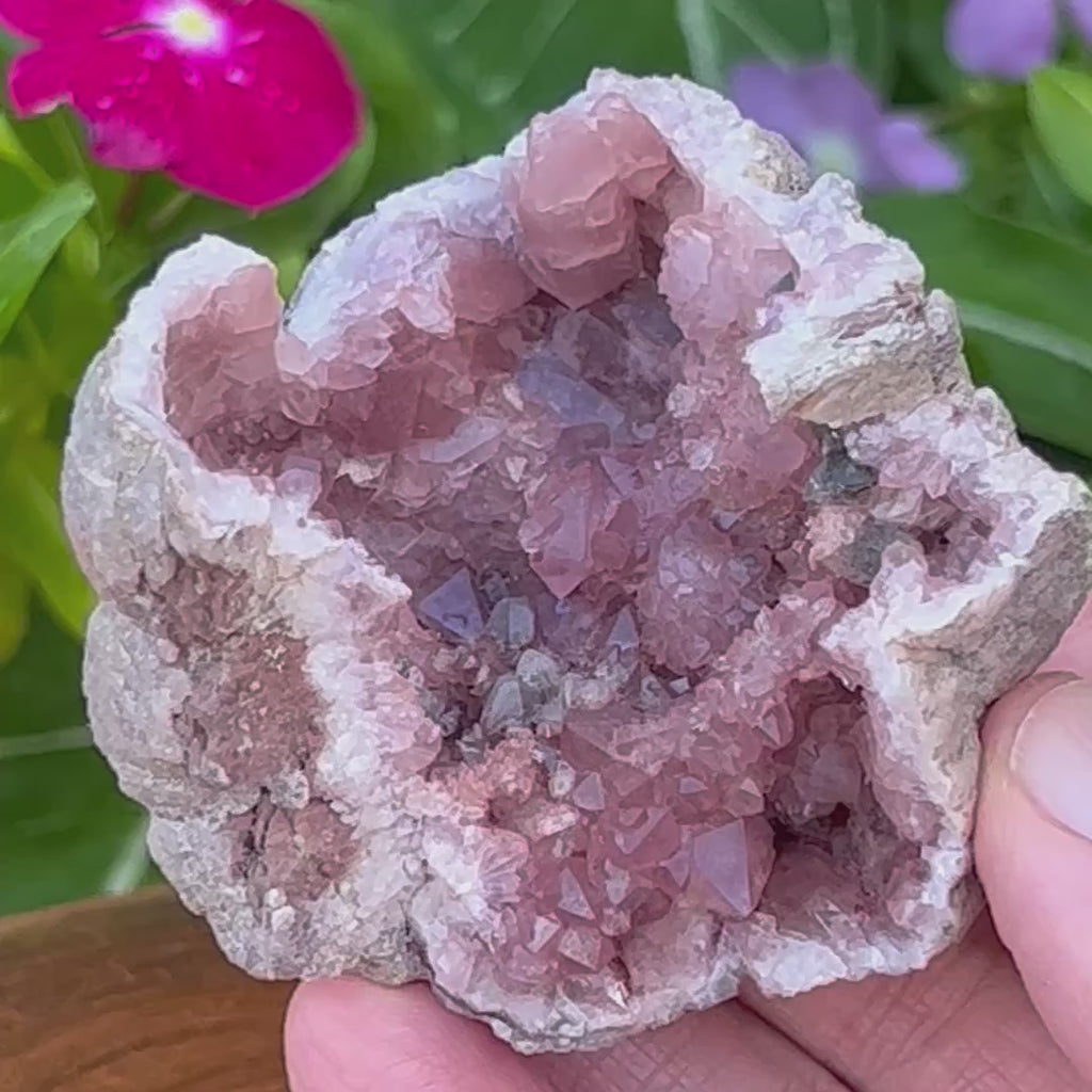 Excellent luster, a fine shine emanates from the faces of the crystals in this higher quality Pink Amethyst Crystals Geode specimen. 