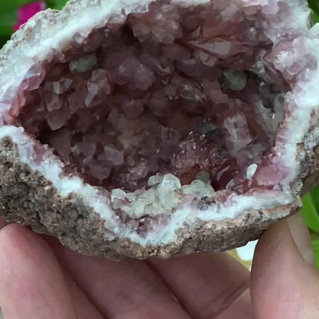 Water clear and near clear calcite crystals present like scattered diamonds with the highest concentration of them in one side of the pocket of this Pink Amethyst Crystals Geode specimen, displaying a wonderful contrast to the dark pink crystals. Terrific faces and terminations on the crystals throughout this larger size, cavernous, sparkling specimen.