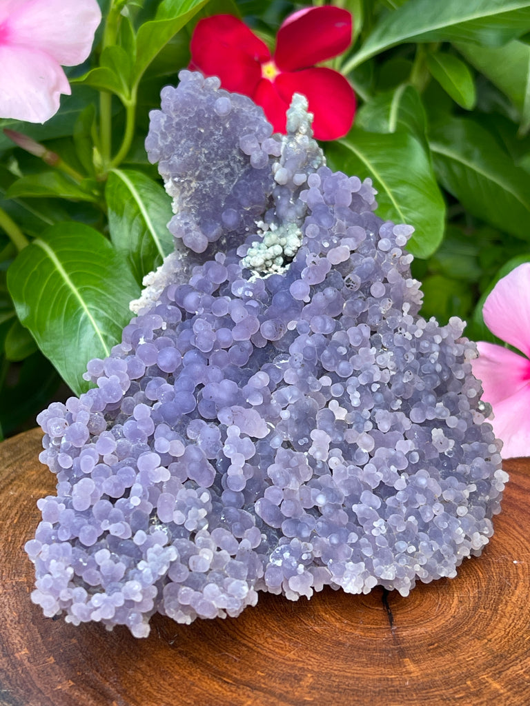Botryoidal Amethyst is a less common occurrence and this specimen displays very nicely. The source for this Quartz var. Amethyst "Grape Agate" is the Mamuju Regency, West Sulawesi Province, Indonesia.