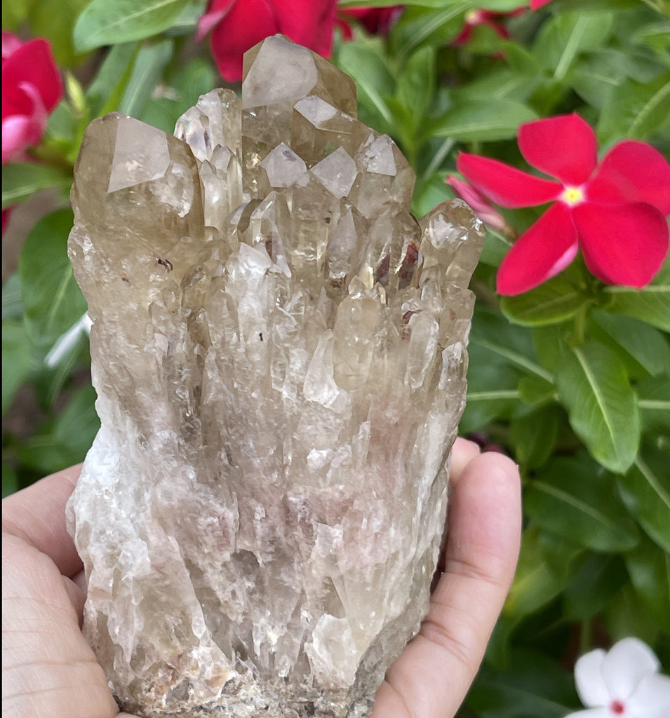 Congo Citrine 100% Natural | Larger 515g. | Authentic  Untreated Abundance Cluster | Kundalini Manifesting Crystal