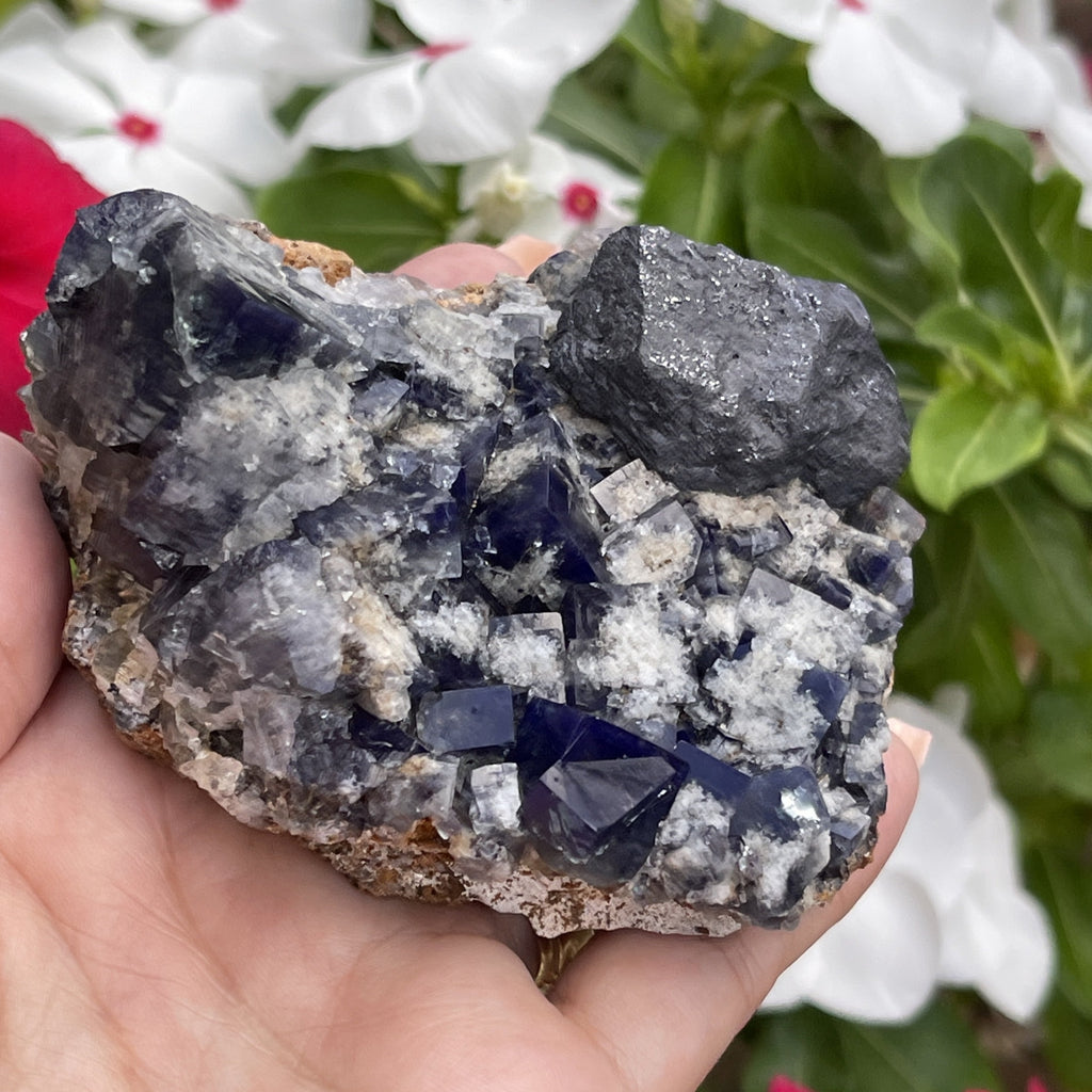 Fluorite Milky Way Pocket, Diana Maria Mine | with Galena Rare NEW Find Crystal Mineral